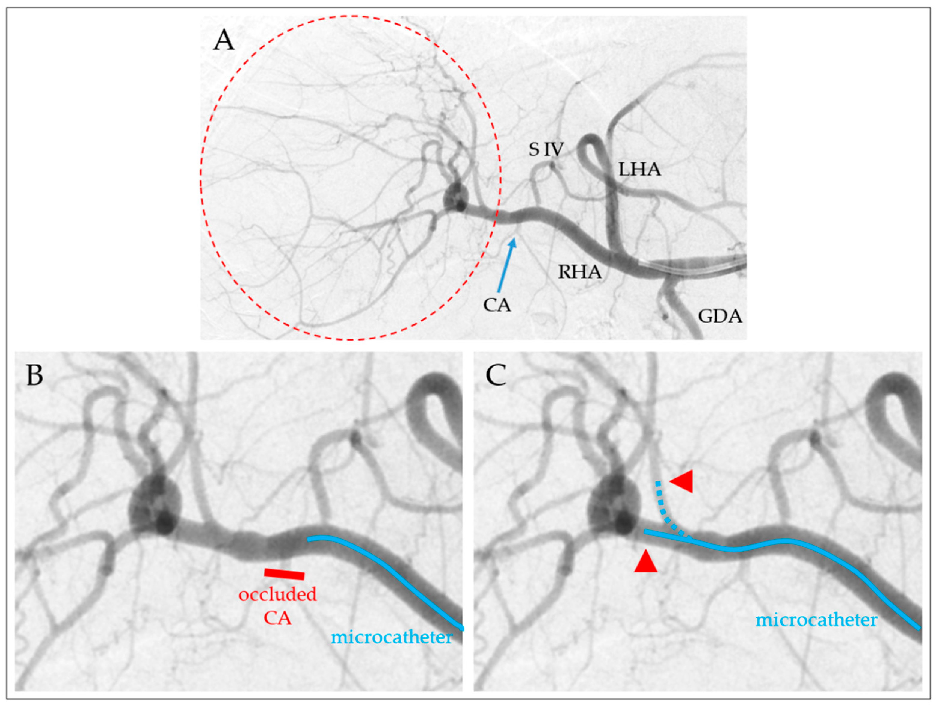 Biomedicines 12 01794 g001