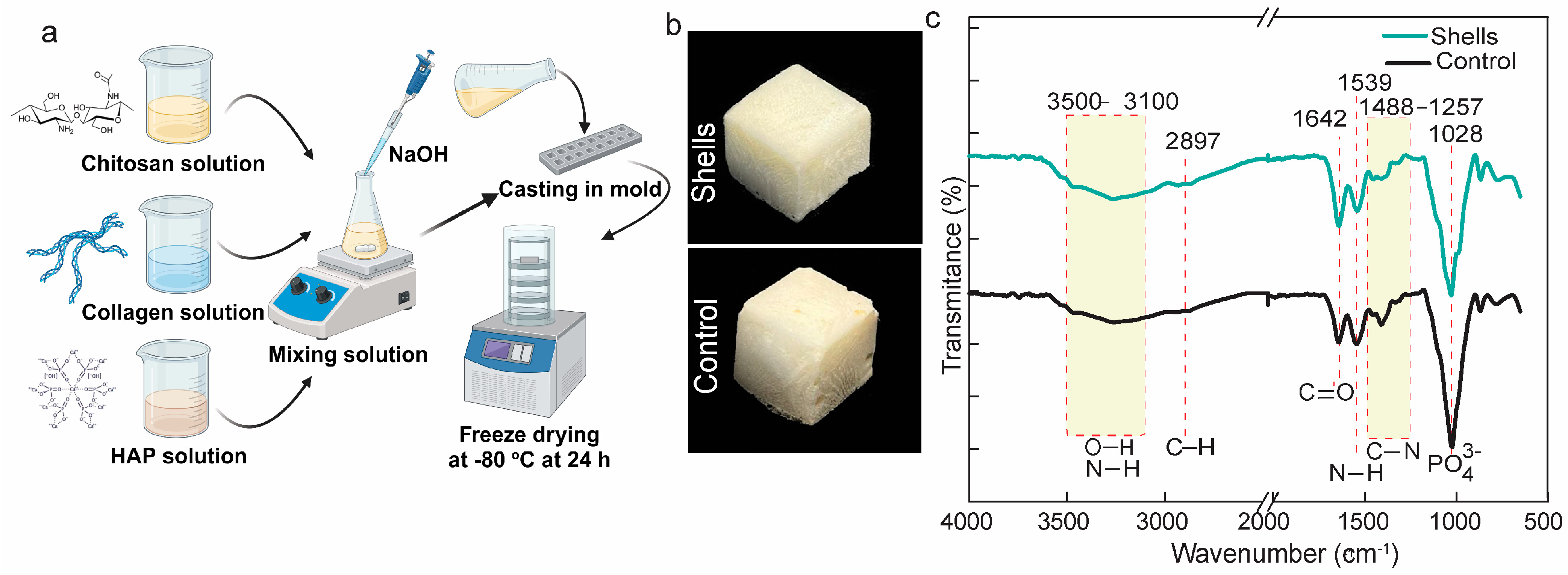 Biomedicines 12 01796 g003
