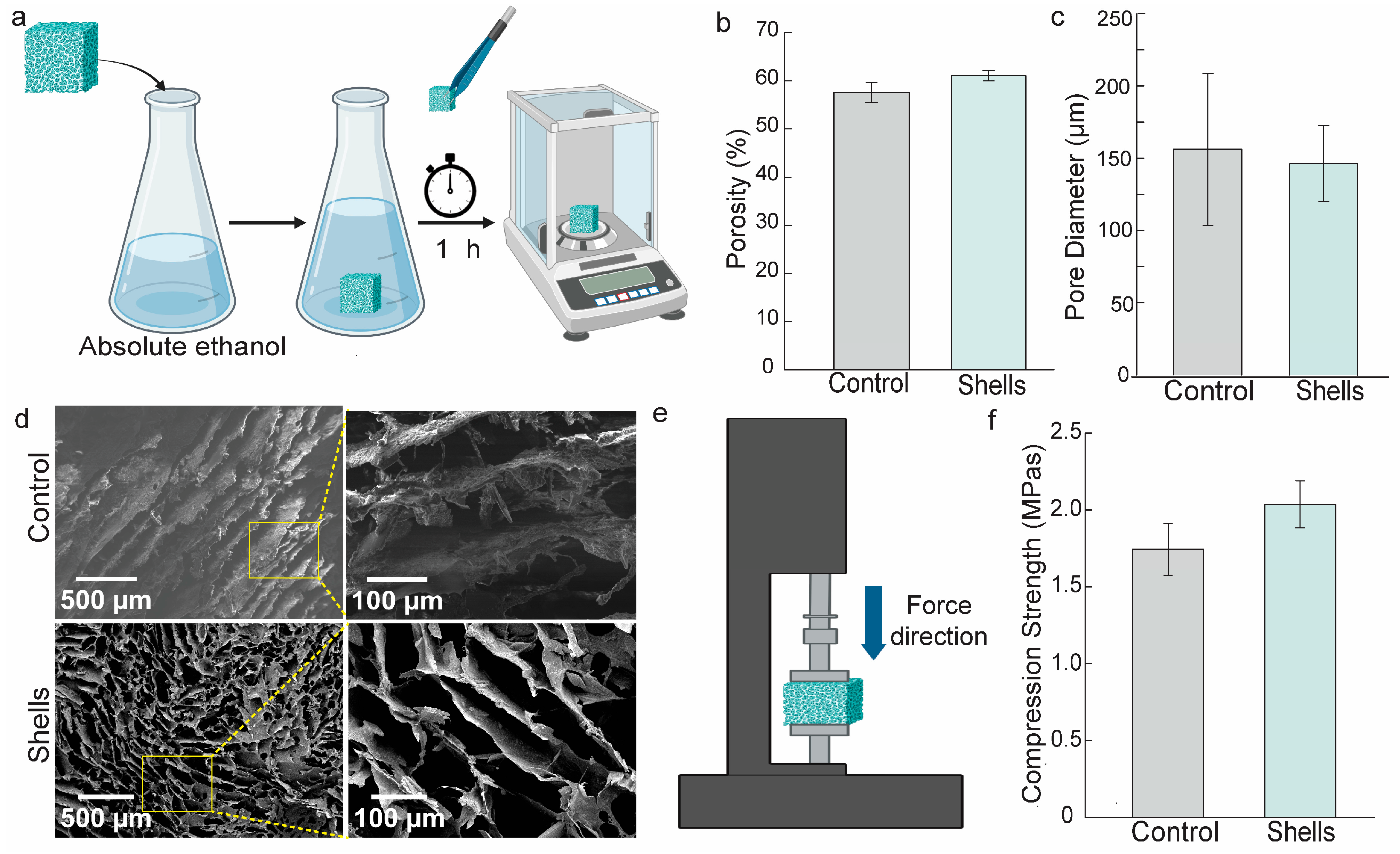 Biomedicines 12 01796 g004