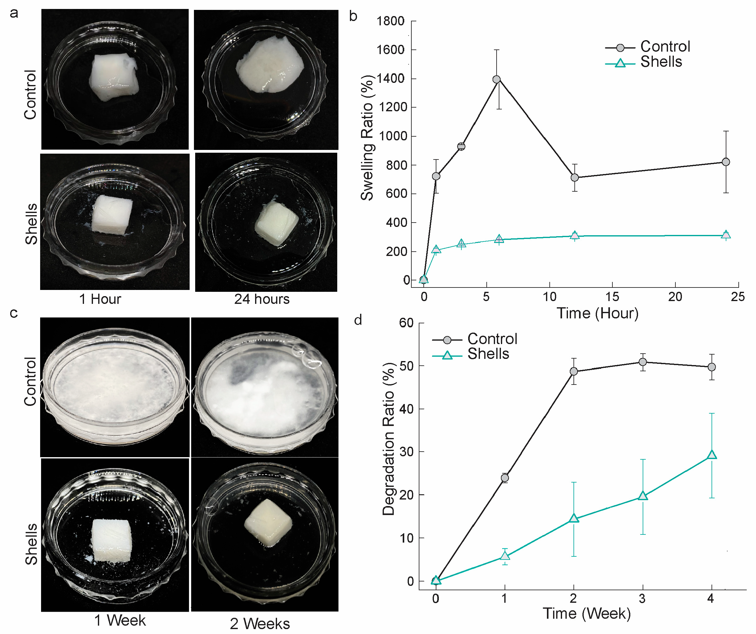 Biomedicines 12 01796 g005