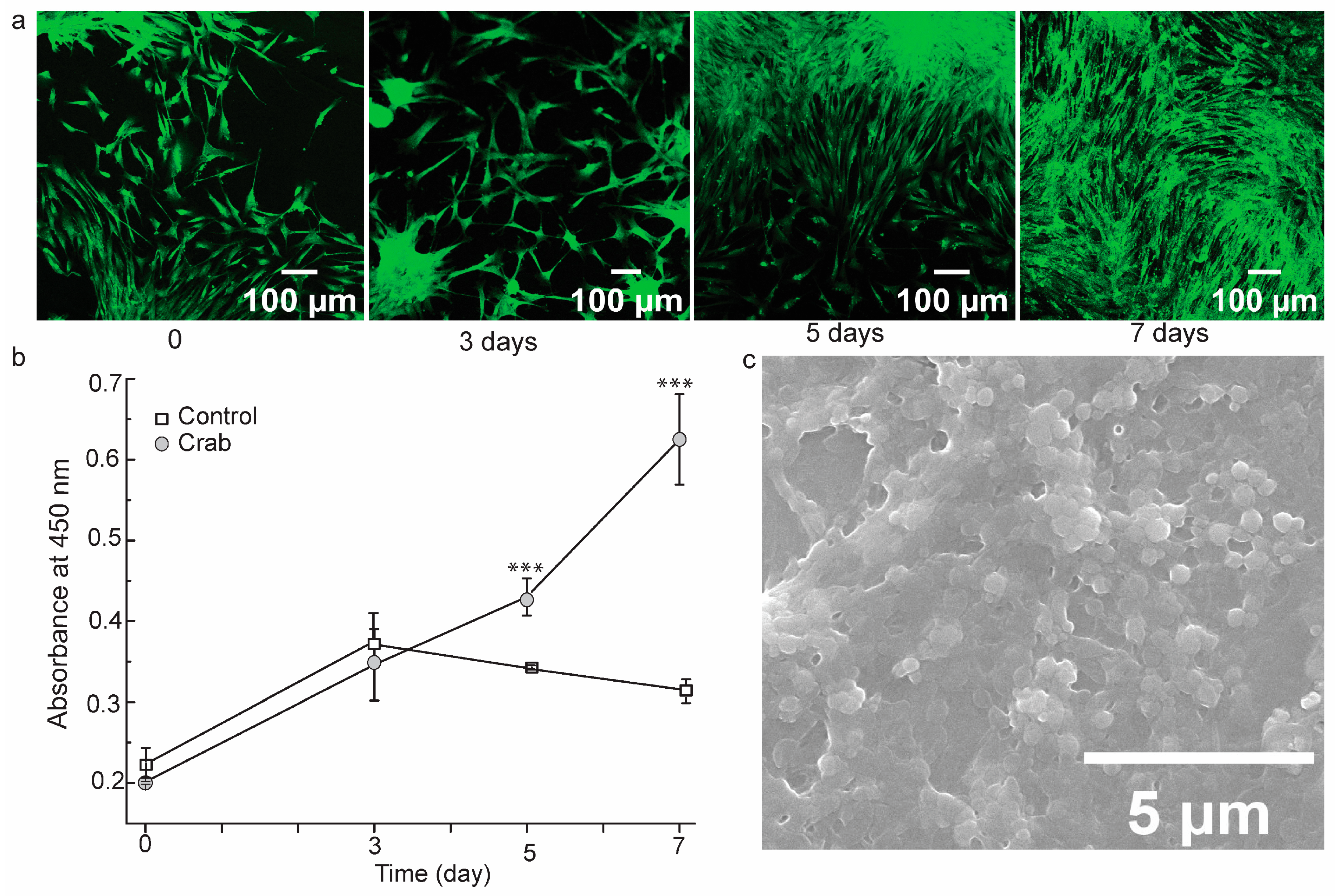 Biomedicines 12 01796 g006