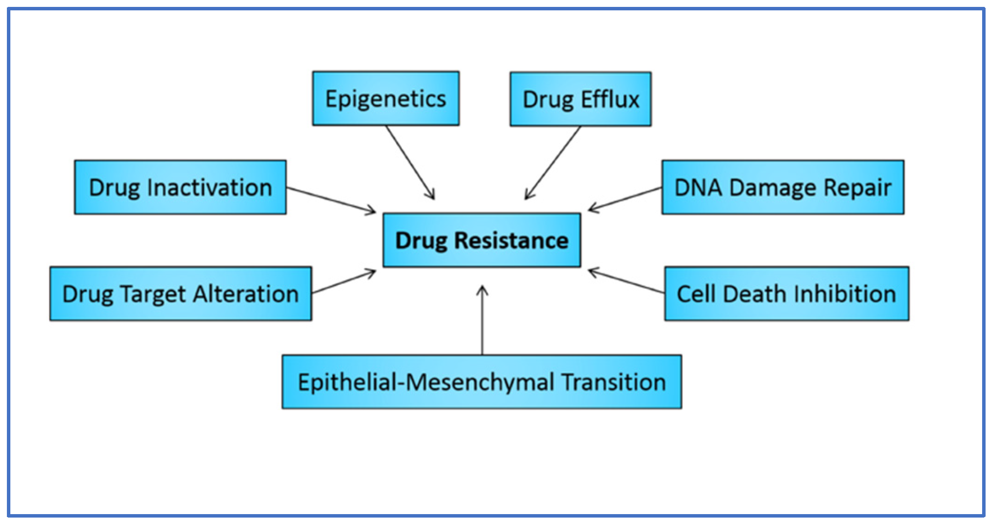 Biomedicines 12 01801 g001 Biomedicines 12 01801 g001