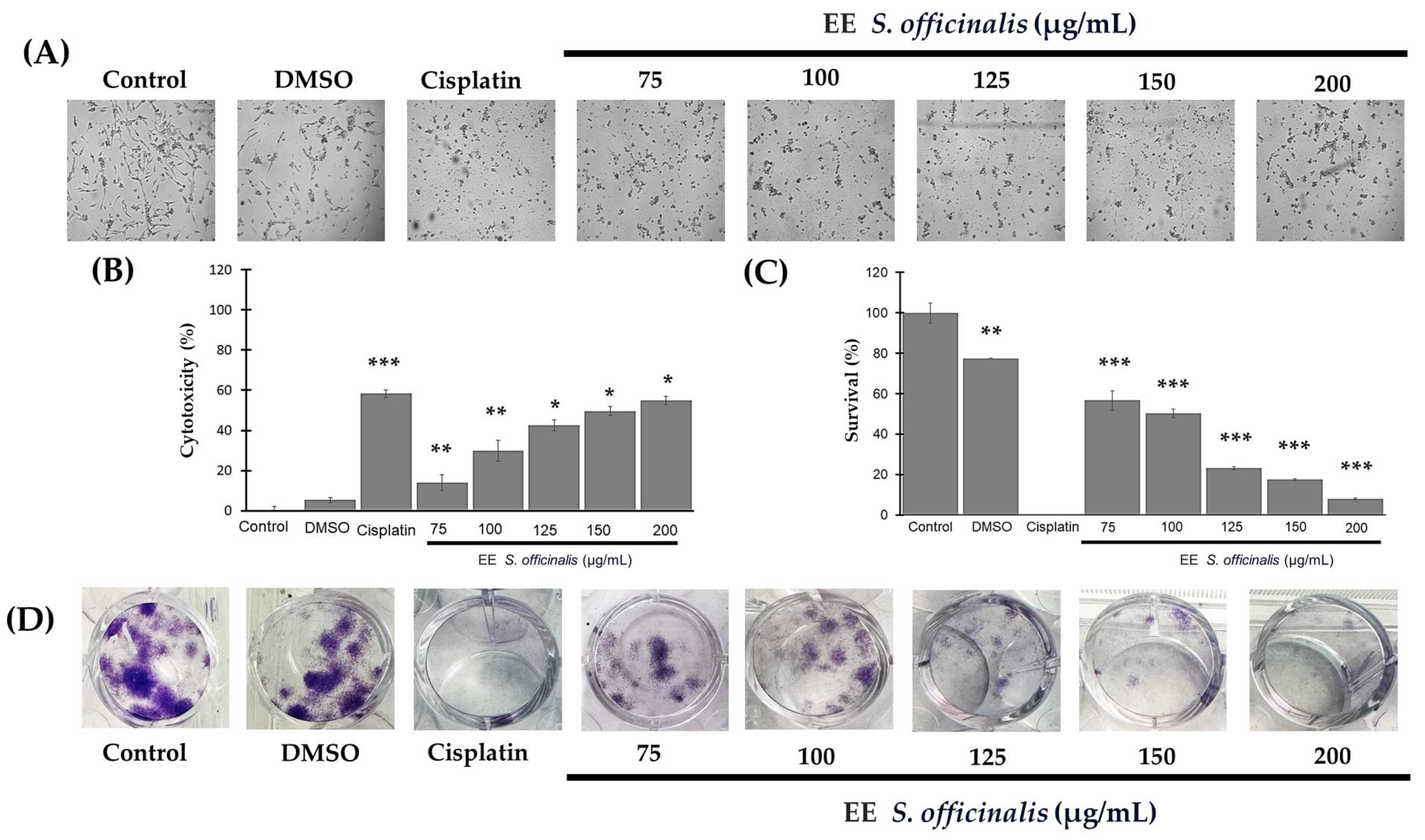 Biomedicines 12 01804 g001