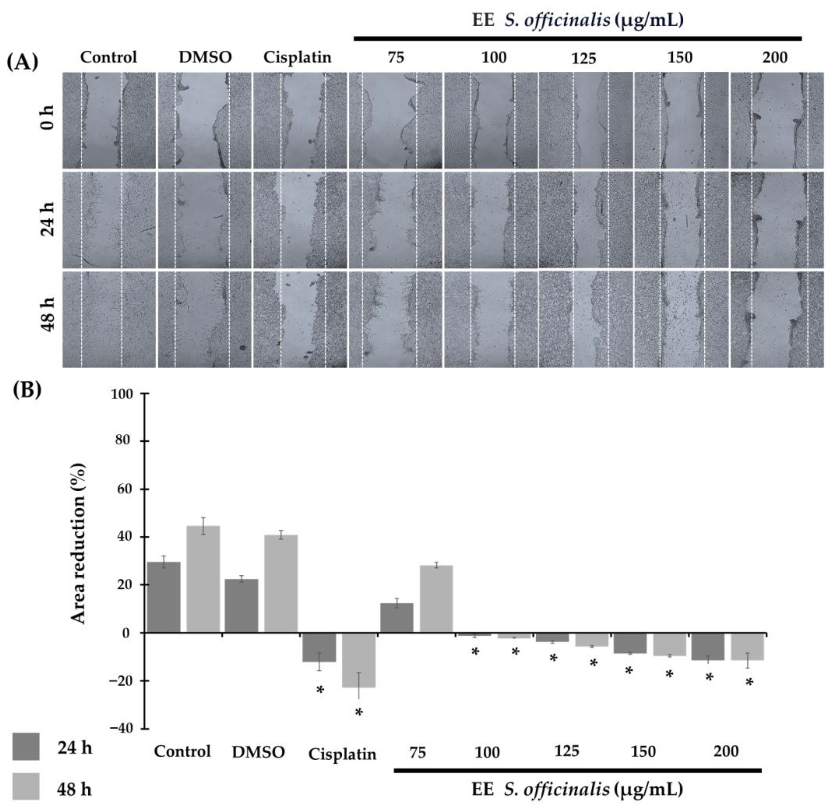 Biomedicines 12 01804 g002