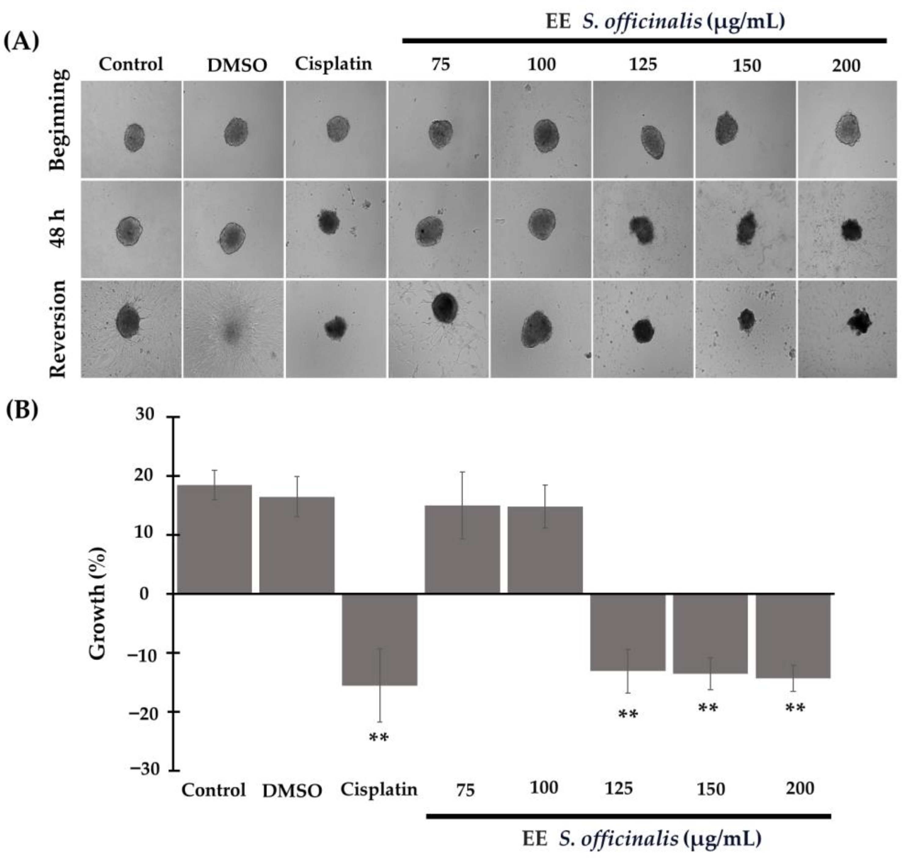 Biomedicines 12 01804 g003