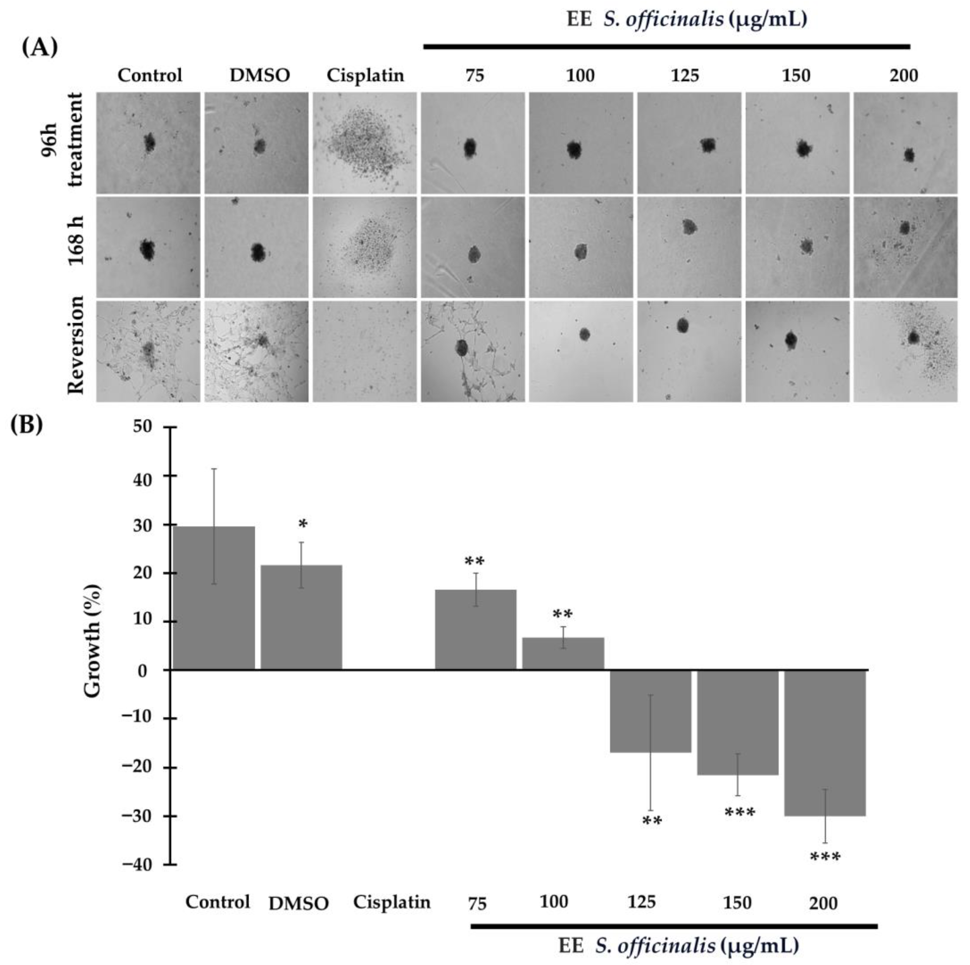 Biomedicines 12 01804 g004