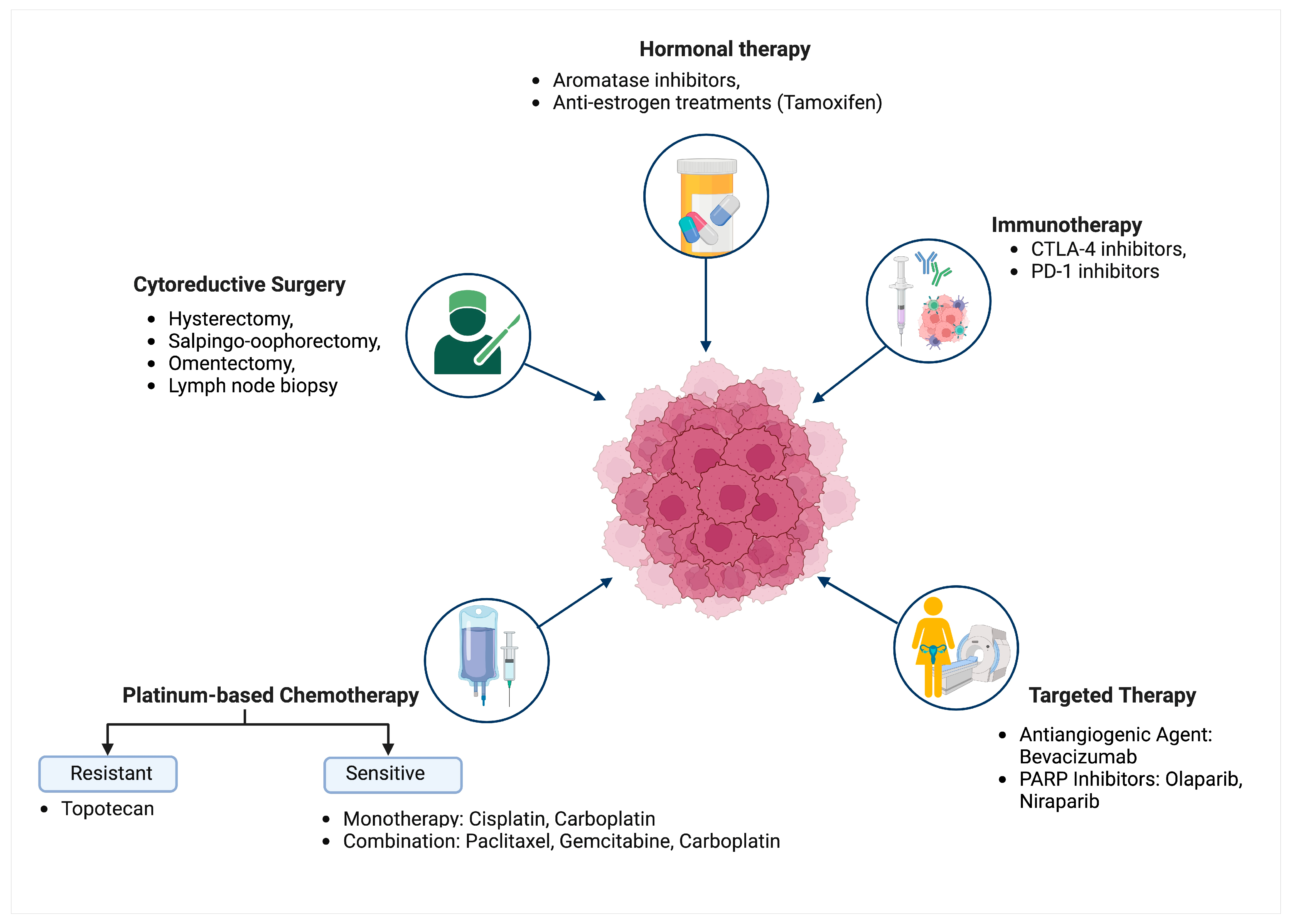 Biomedicines 12 01806 g001