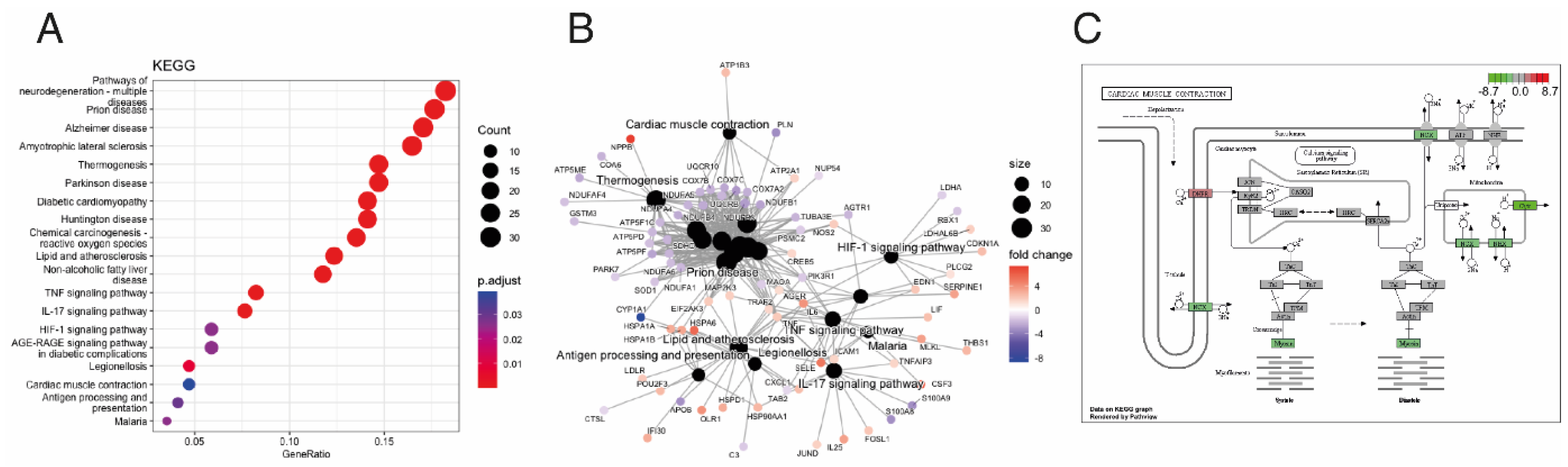 Biomedicines 12 01807 g004