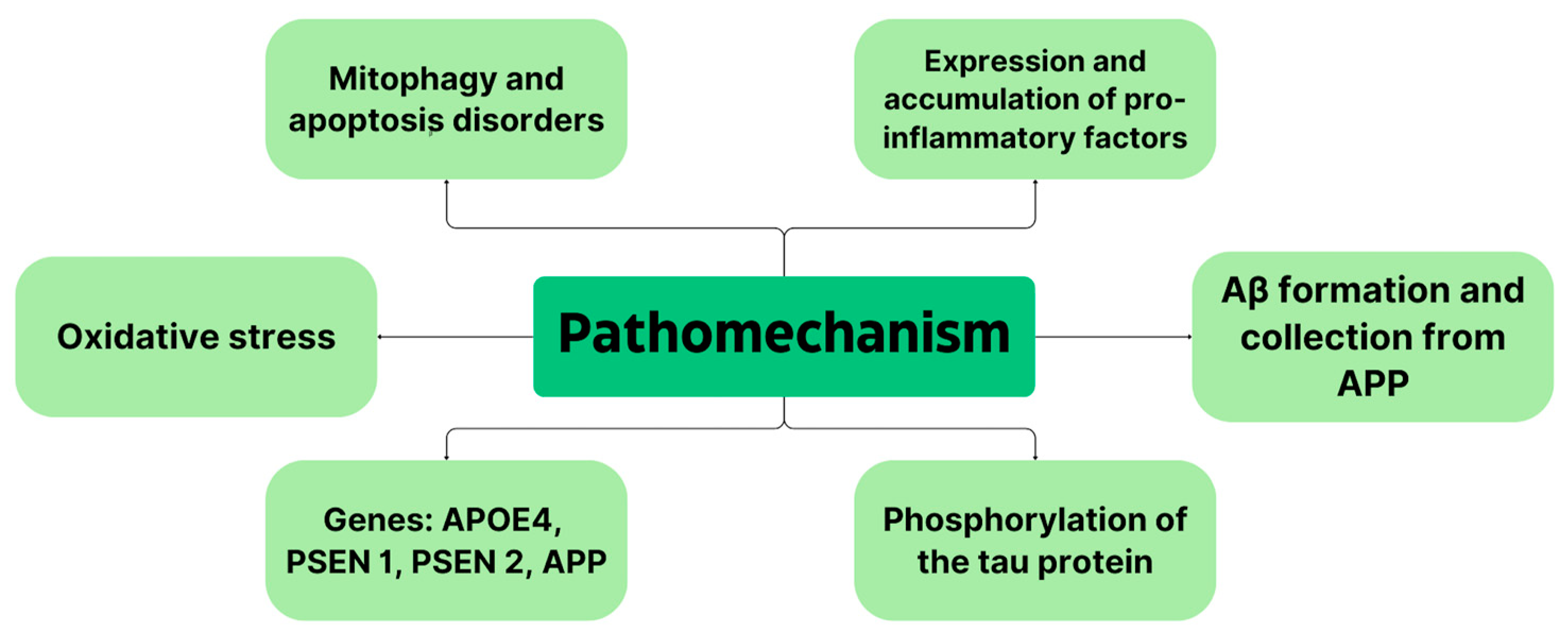 Biomedicines 12 01812 g001