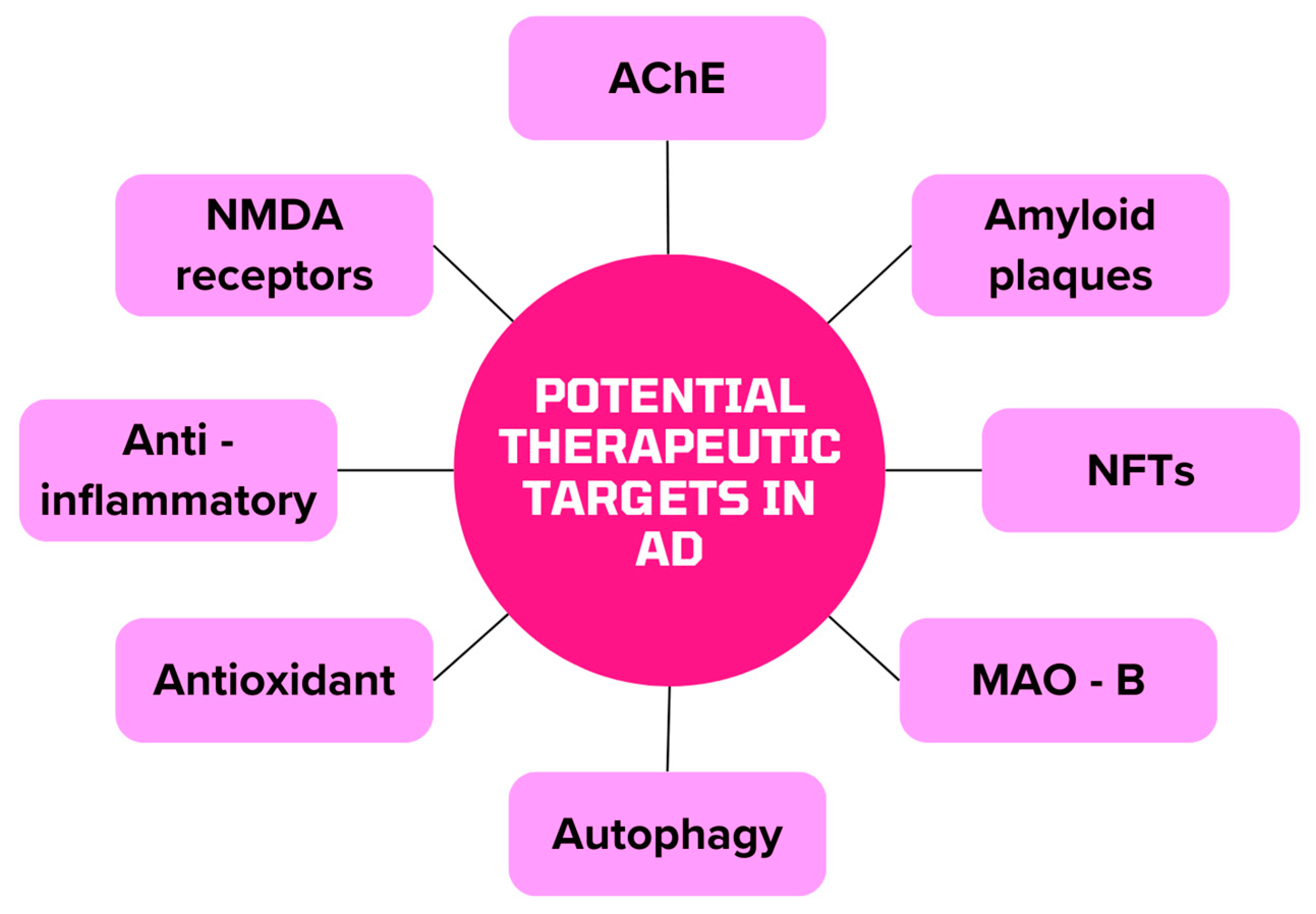 Biomedicines 12 01812 g003