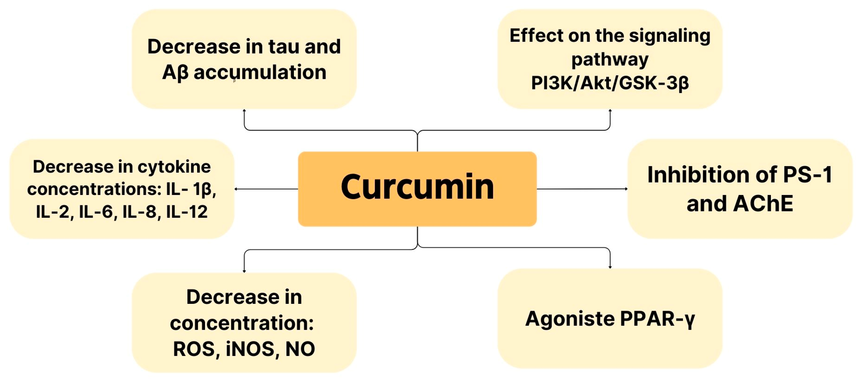 Biomedicines 12 01812 g004