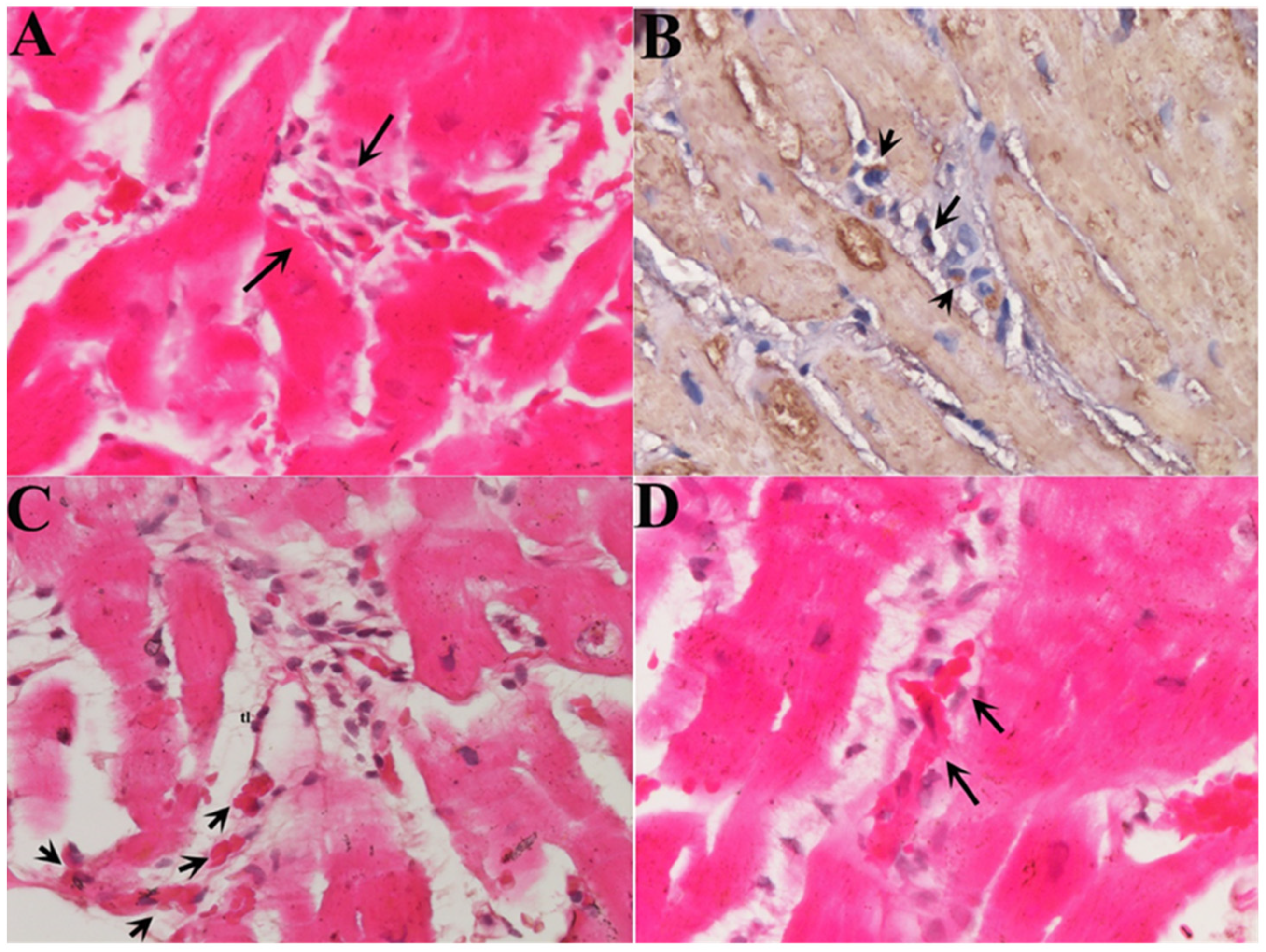Biomedicines 12 01814 g001