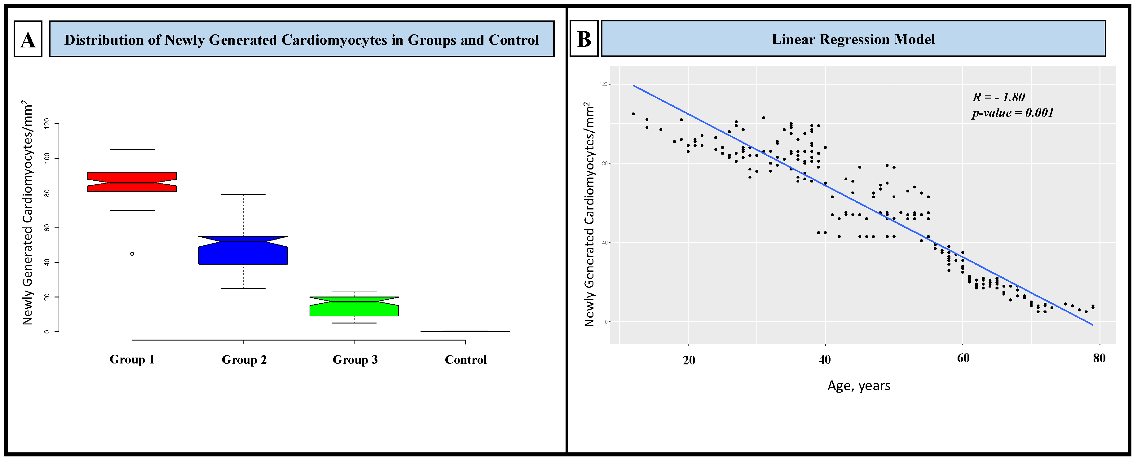 Biomedicines 12 01814 g006