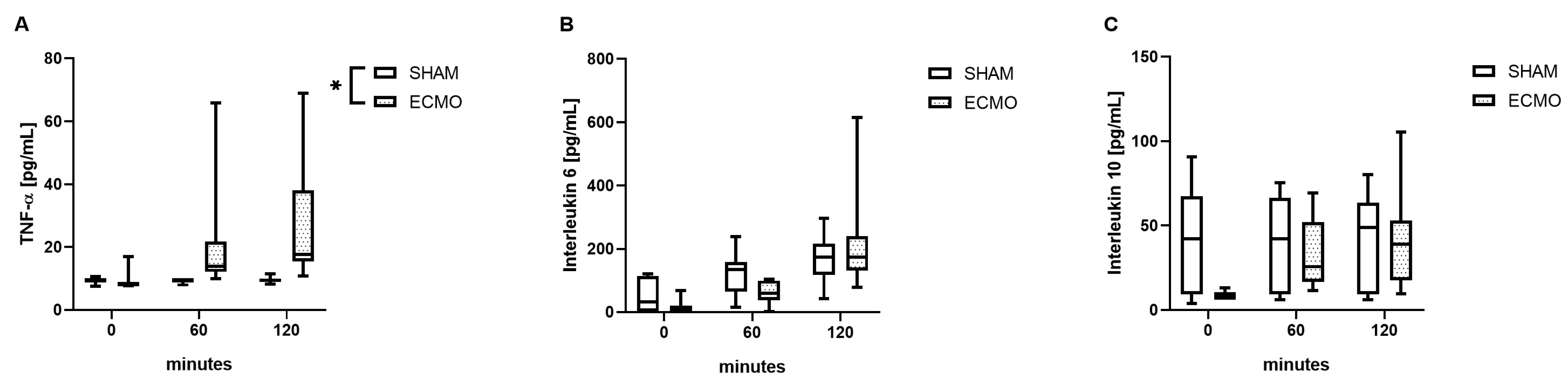 Biomedicines 12 01819 g005