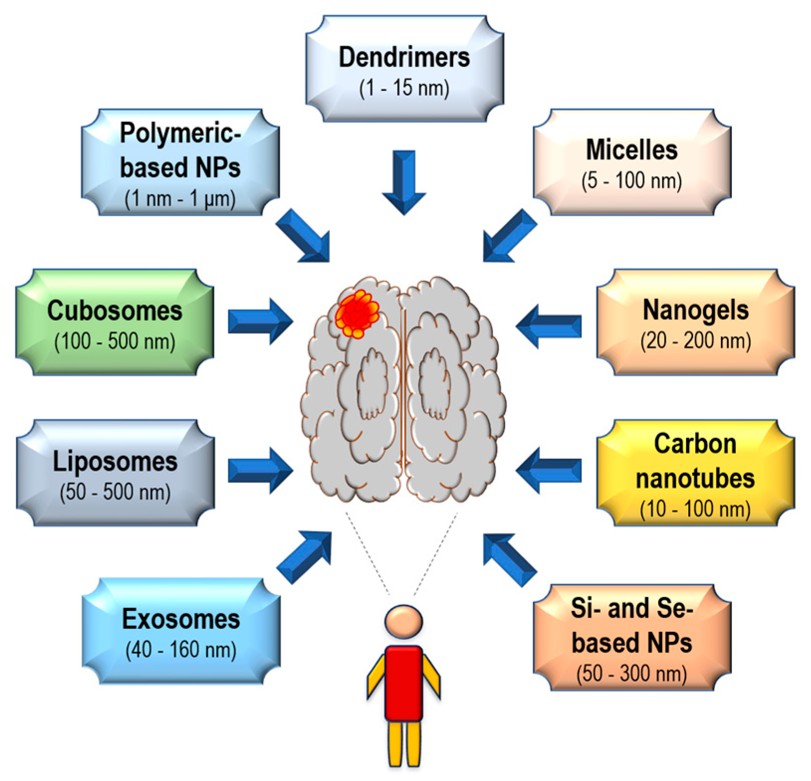 Biomedicines 12 01822 g002