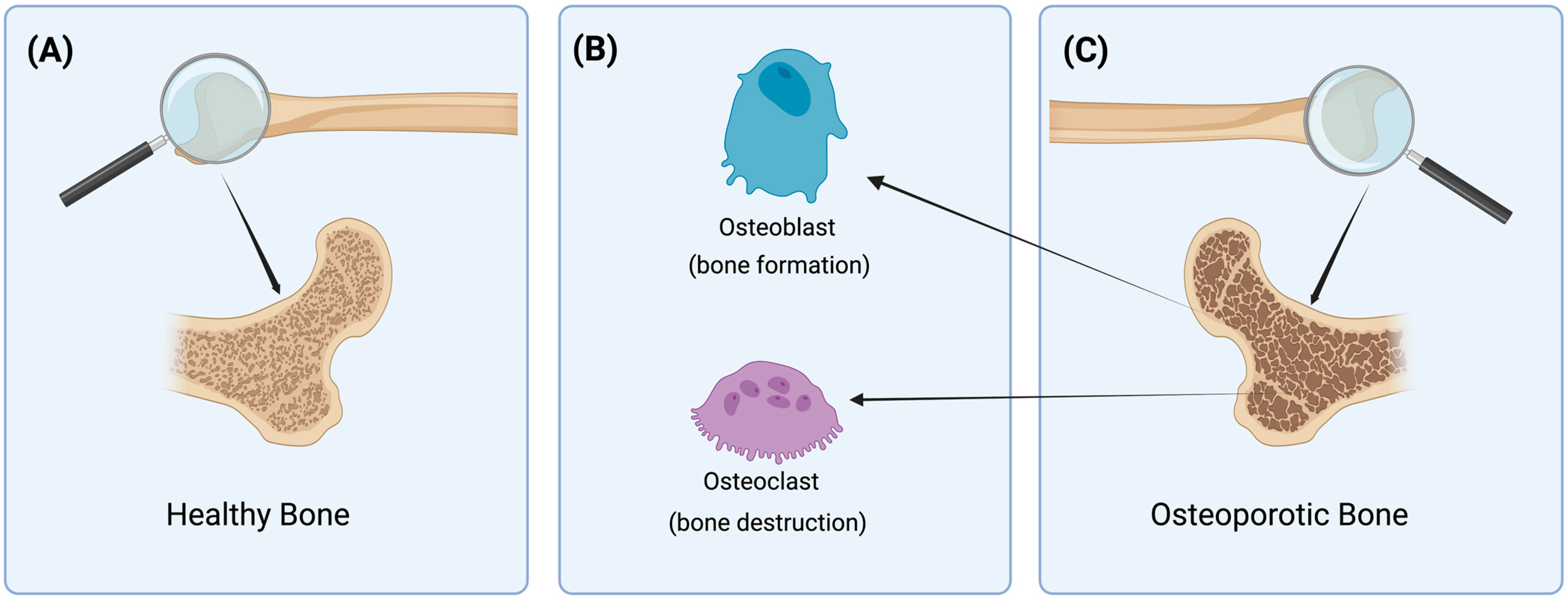 Biomedicines 12 01830 g001 Biomedicines 12 01830 g001