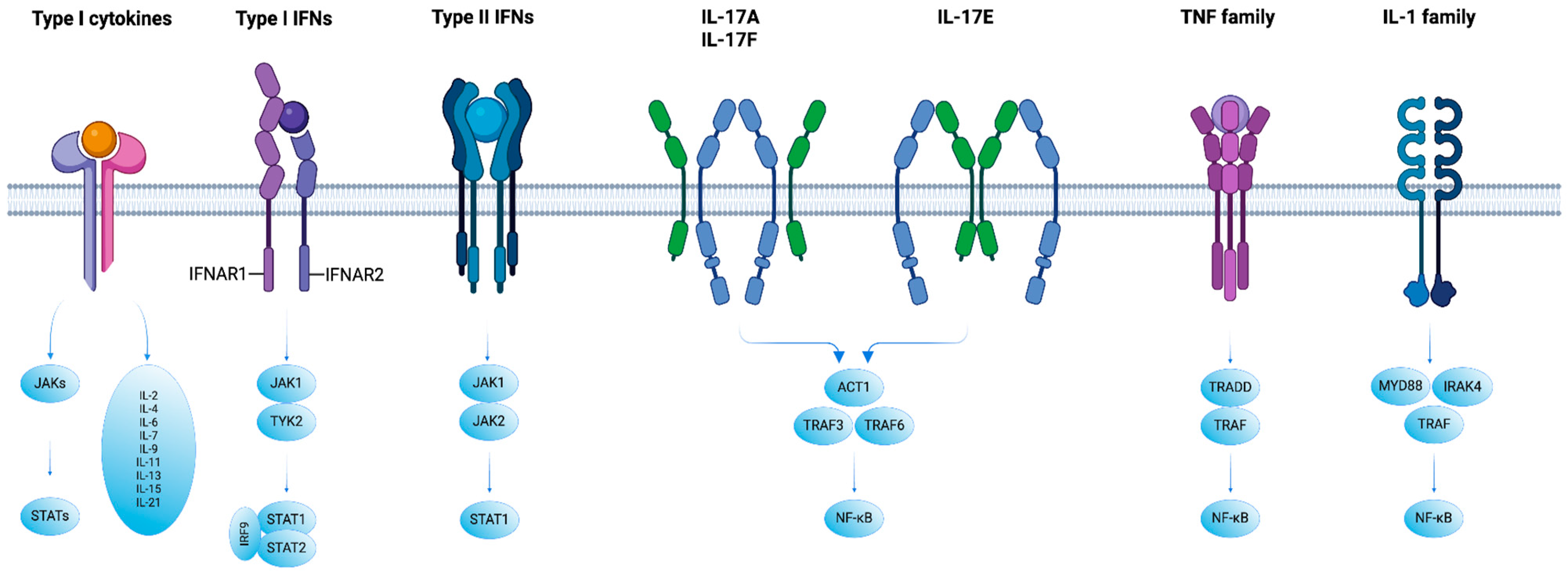 Biomedicines 12 01830 g002 Biomedicines 12 01830 g002