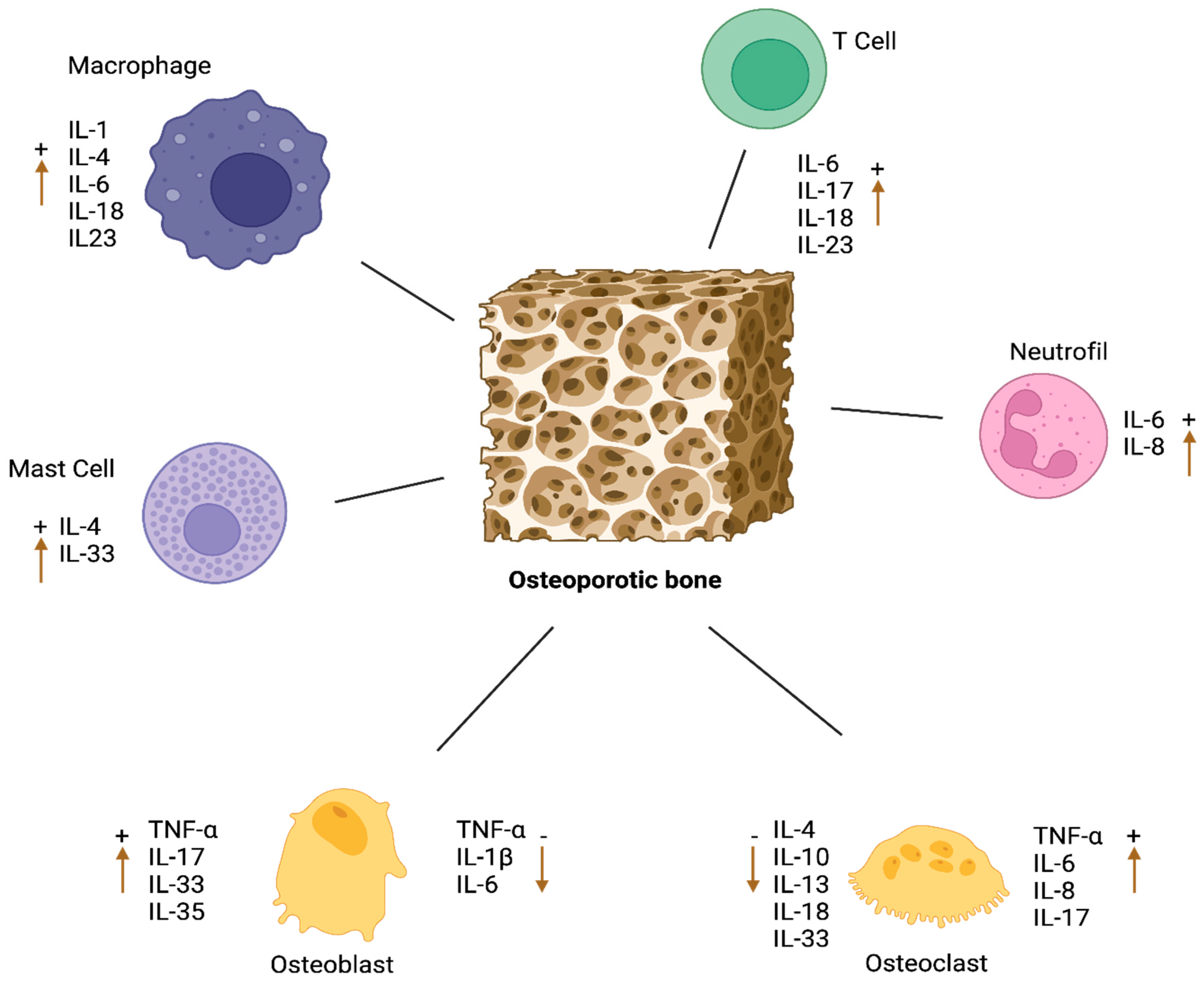 Biomedicines 12 01830 g003 Biomedicines 12 01830 g003
