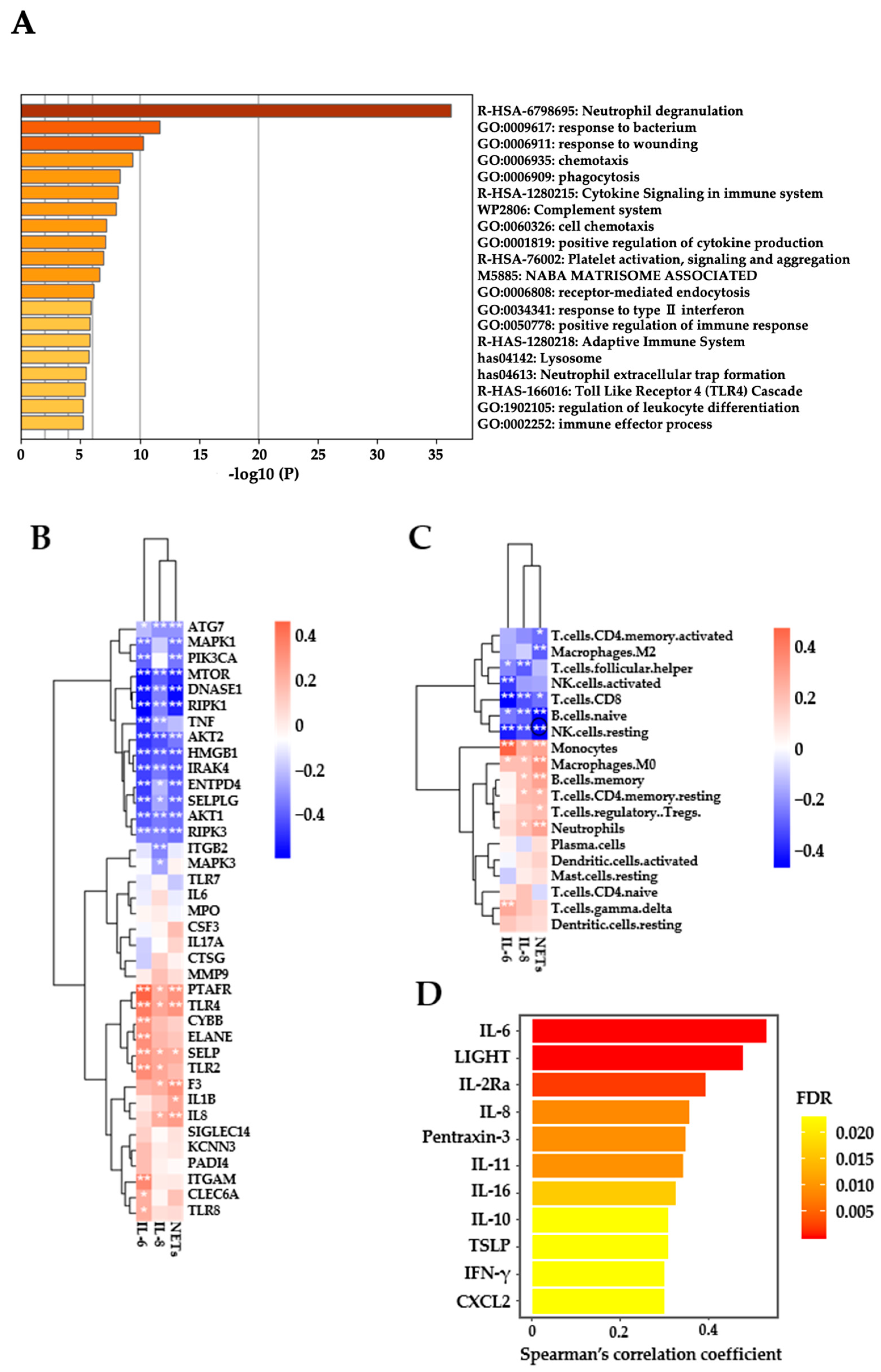 Biomedicines 12 01831 g004a