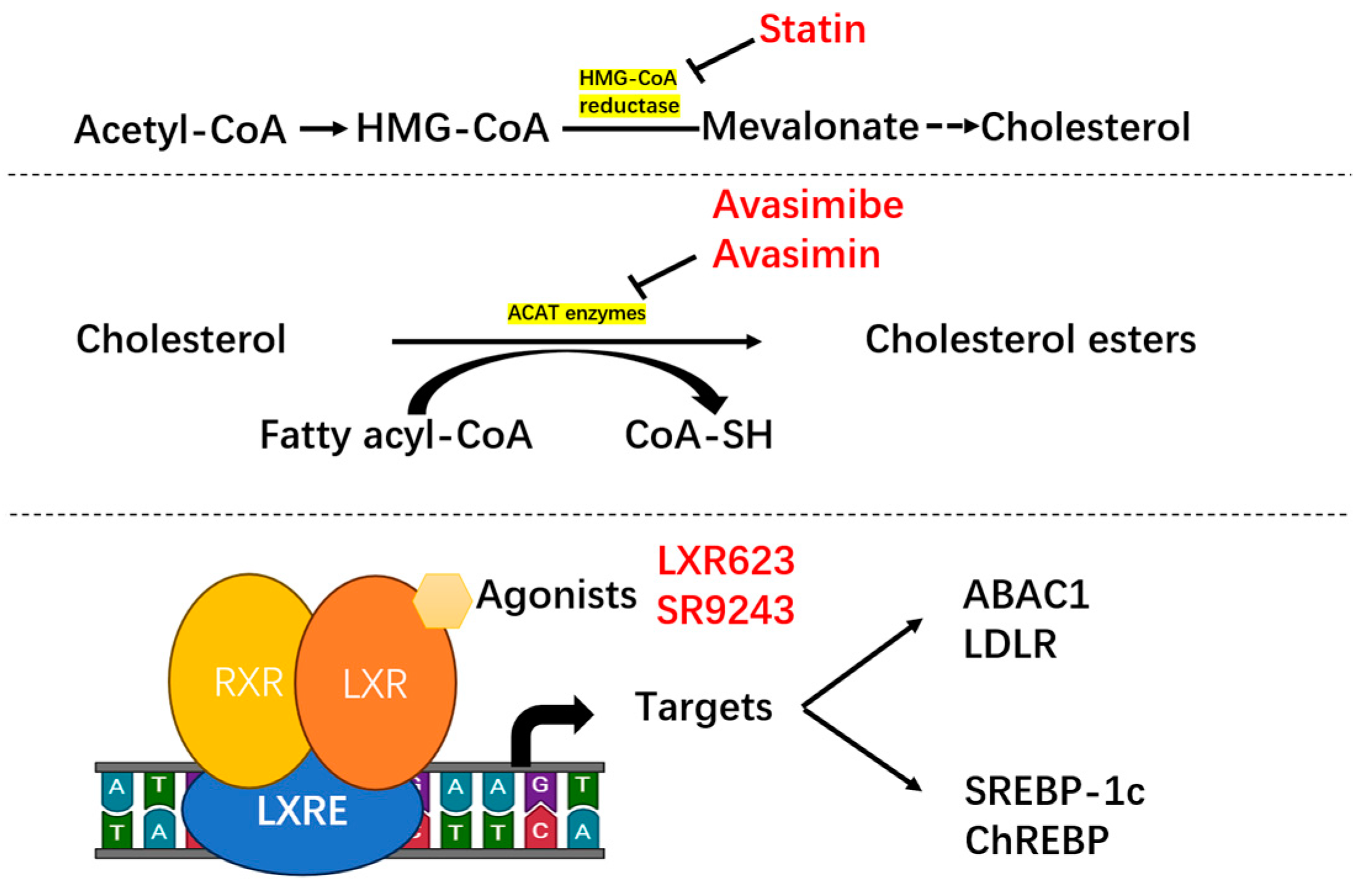 Biomedicines 12 01832 g003 Biomedicines 12 01832 g003