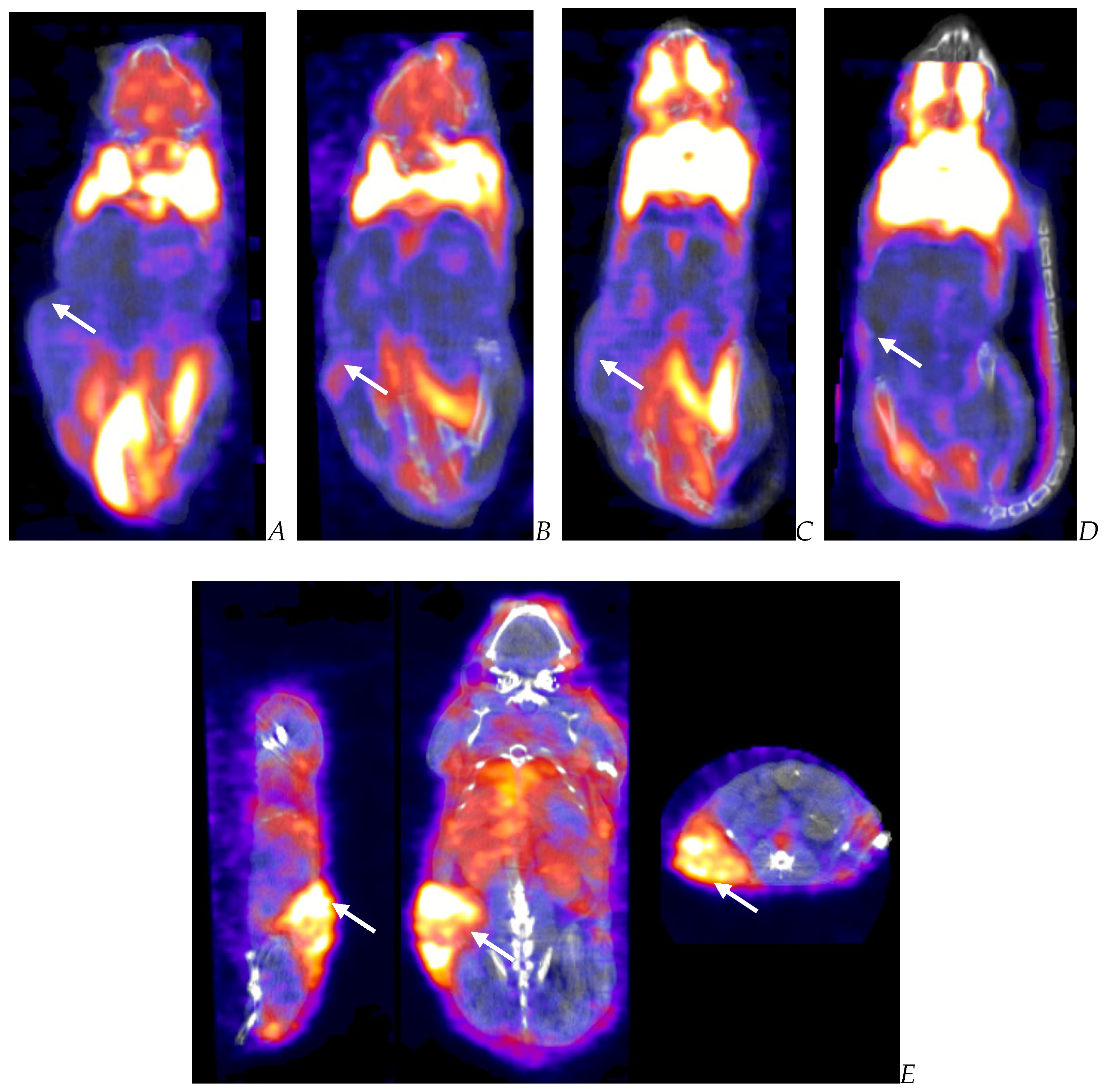 Biomedicines 12 01834 g006