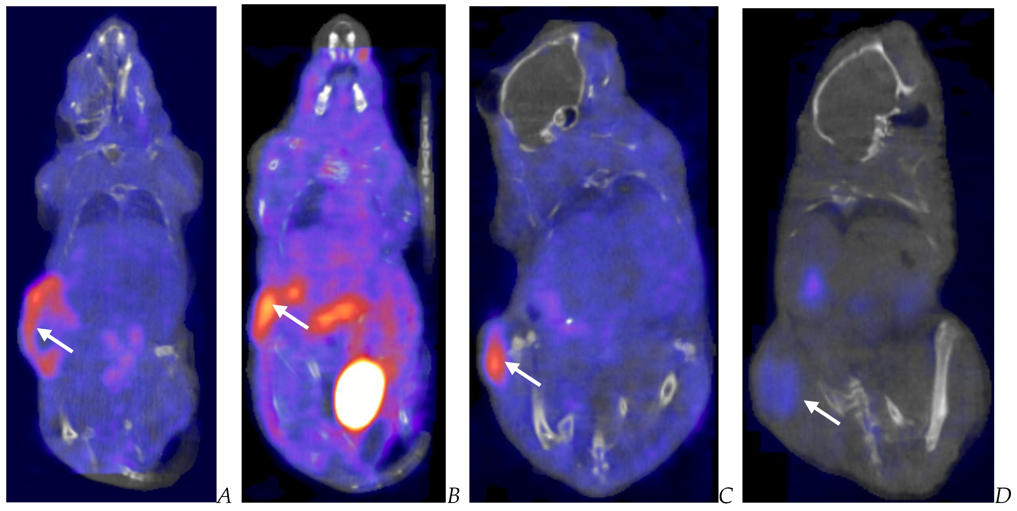 Biomedicines 12 01834 g009
