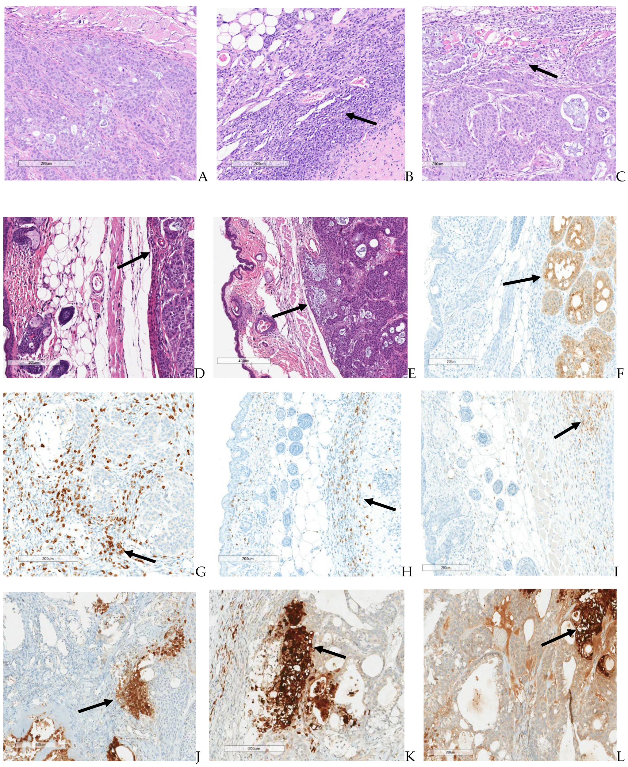 Biomedicines 12 01834 g011