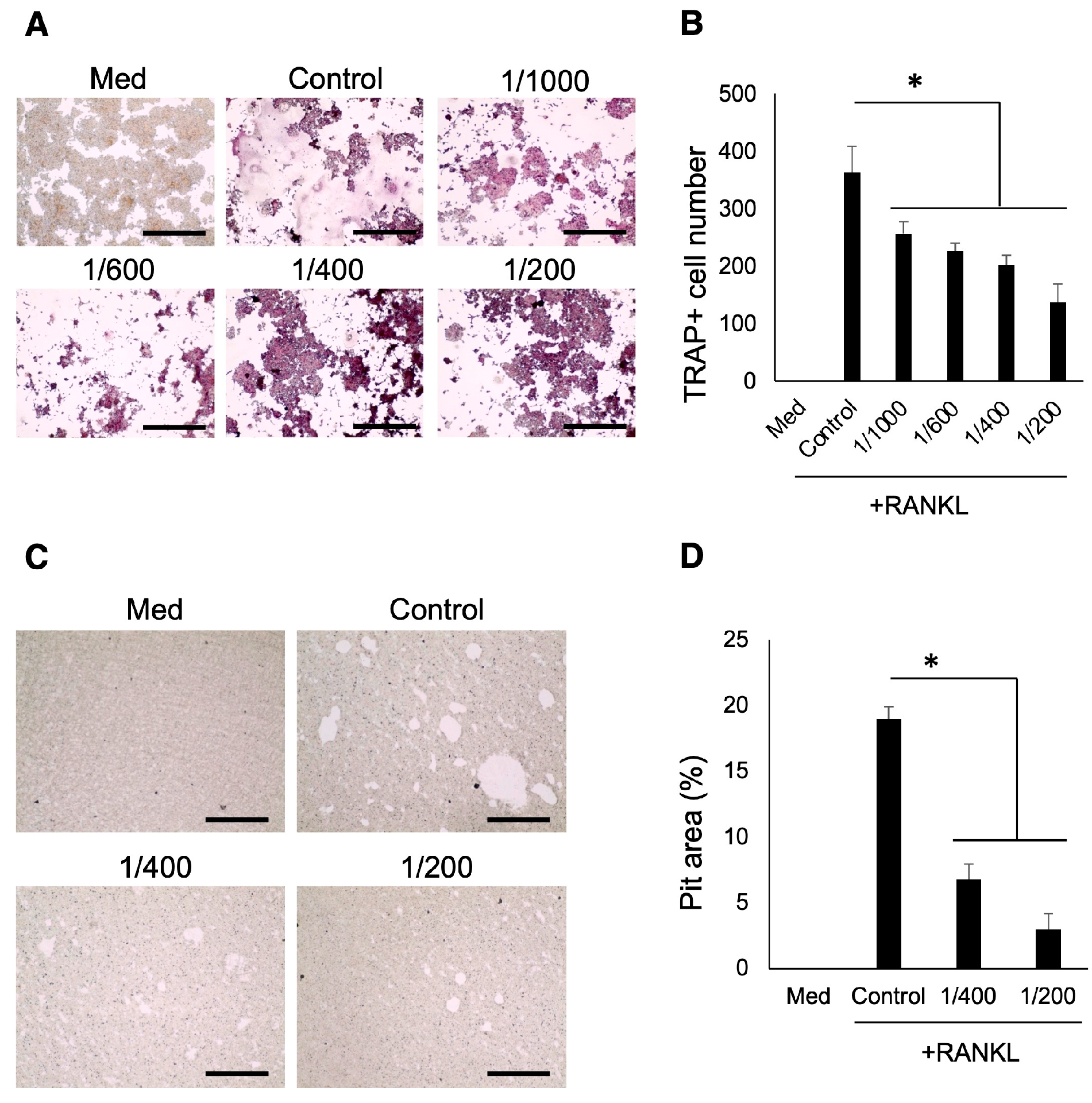 Biomedicines 12 01835 g003