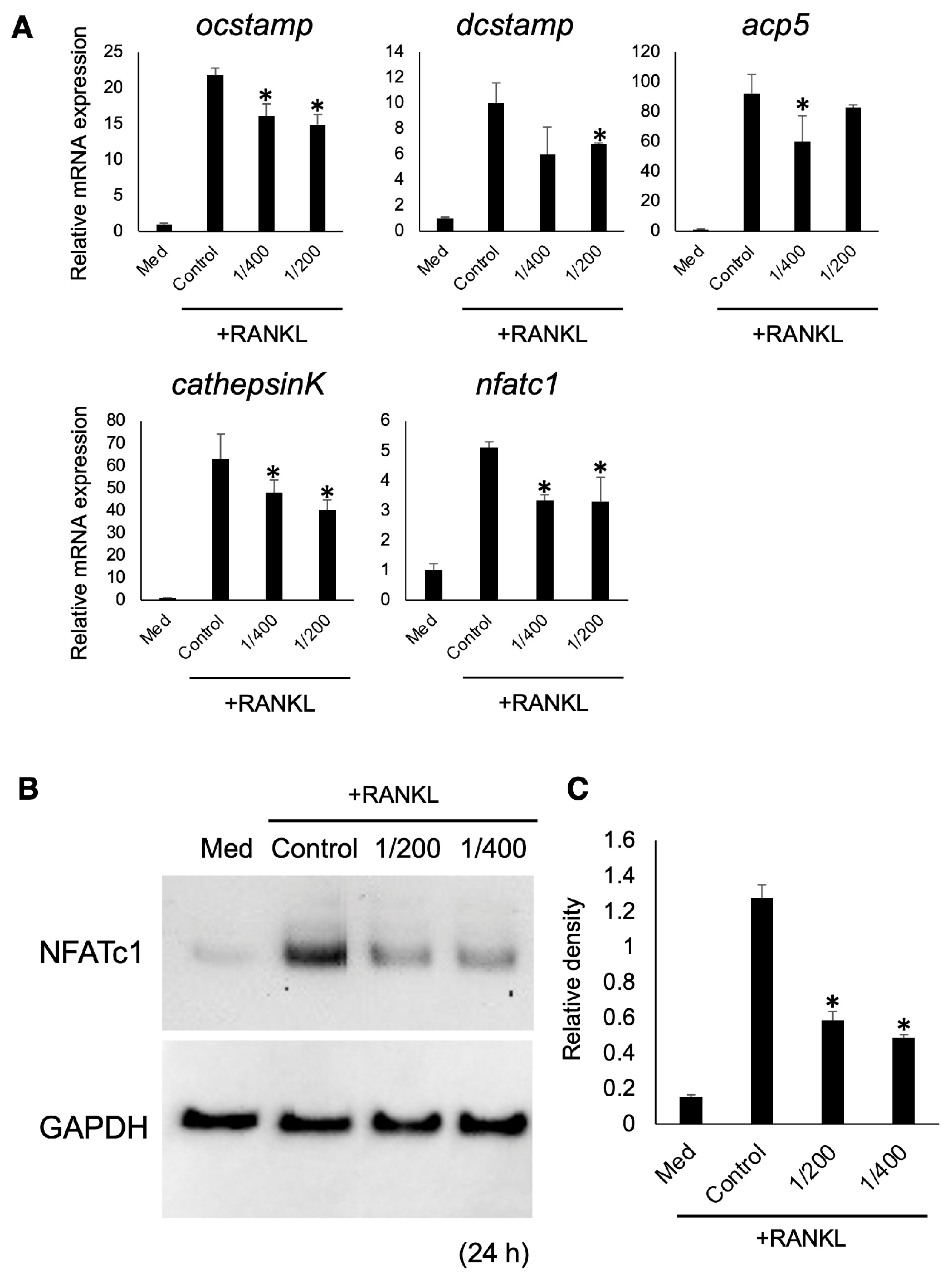 Biomedicines 12 01835 g004