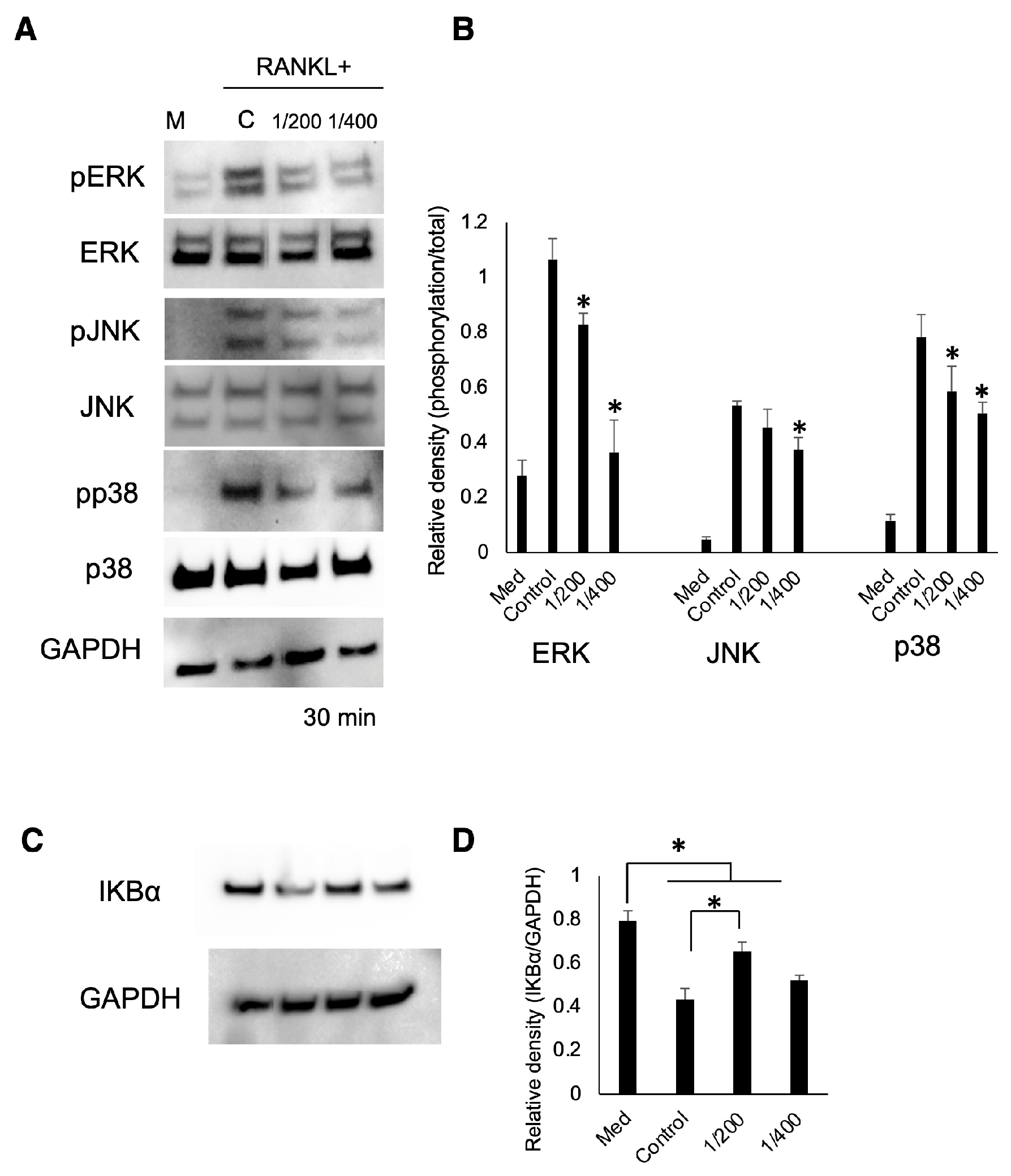 Biomedicines 12 01835 g005