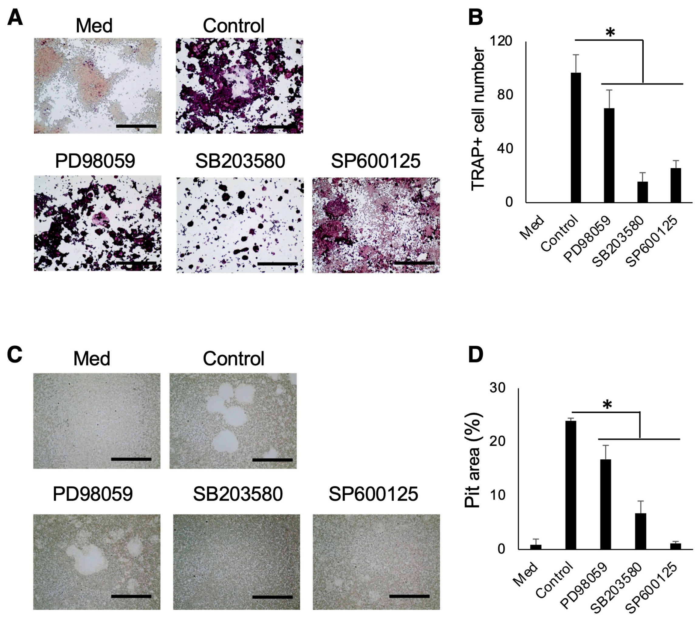 Biomedicines 12 01835 g006