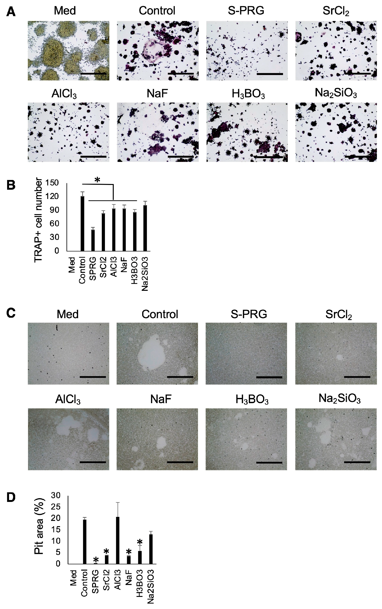 Biomedicines 12 01835 g009