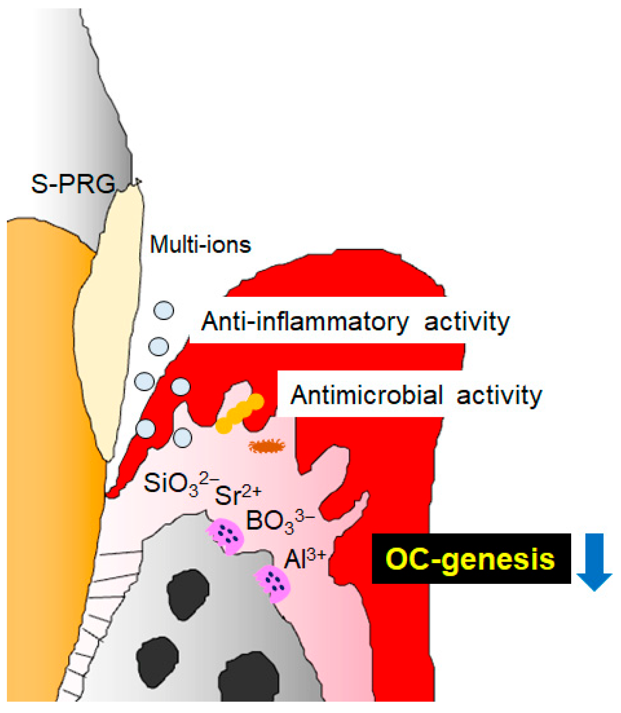 Biomedicines 12 01835 g010