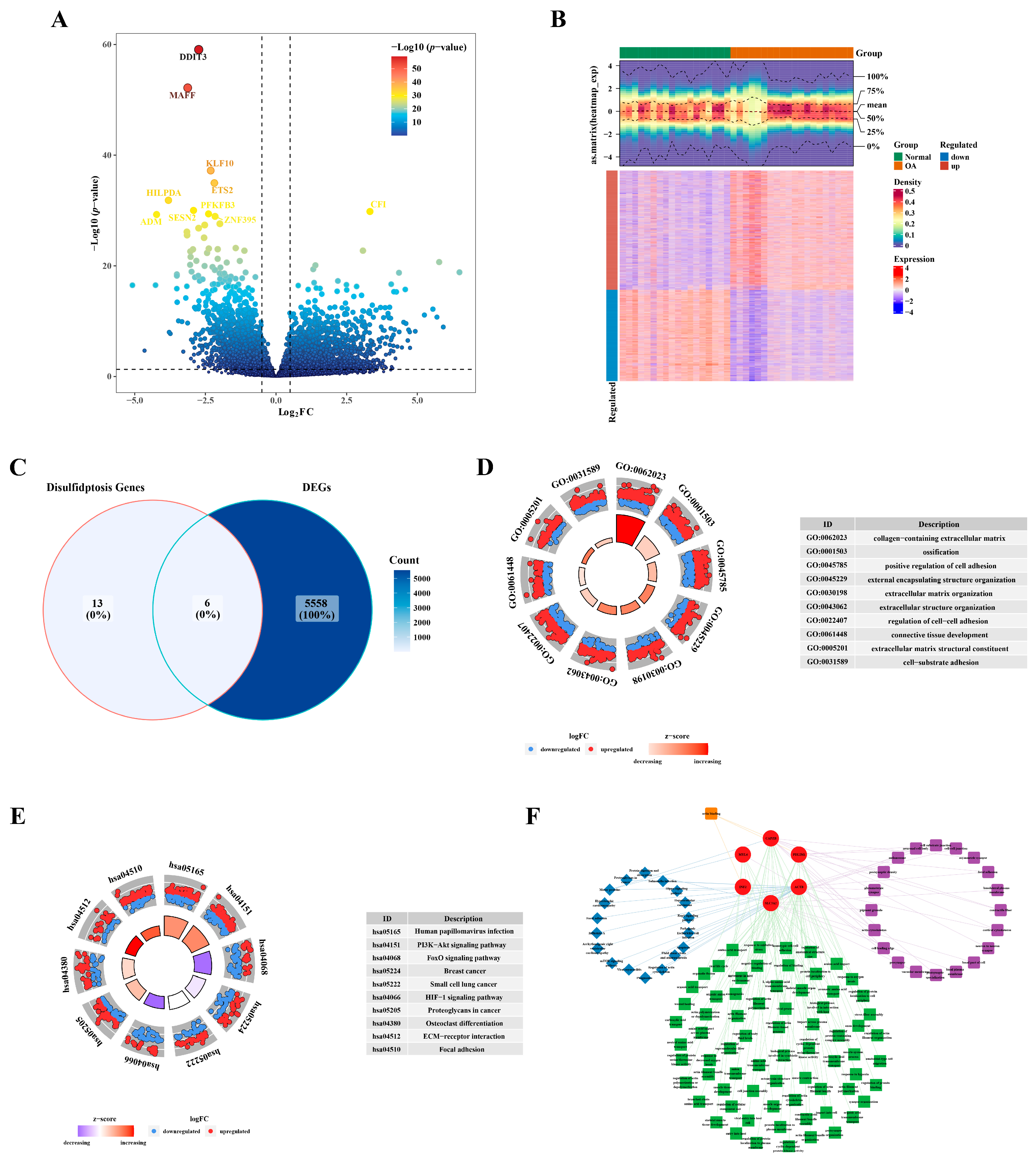 Biomedicines 12 01840 g001