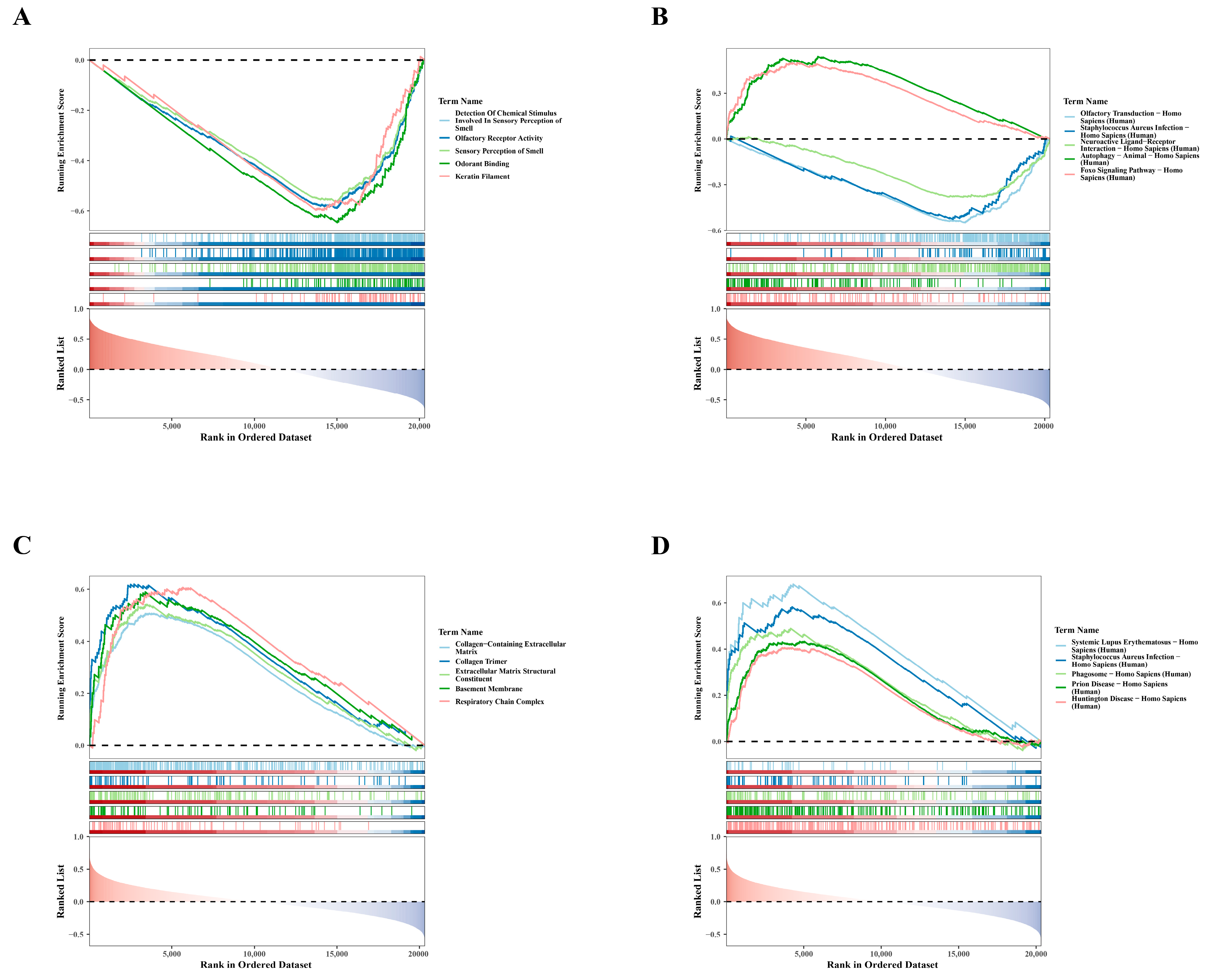 Biomedicines 12 01840 g004