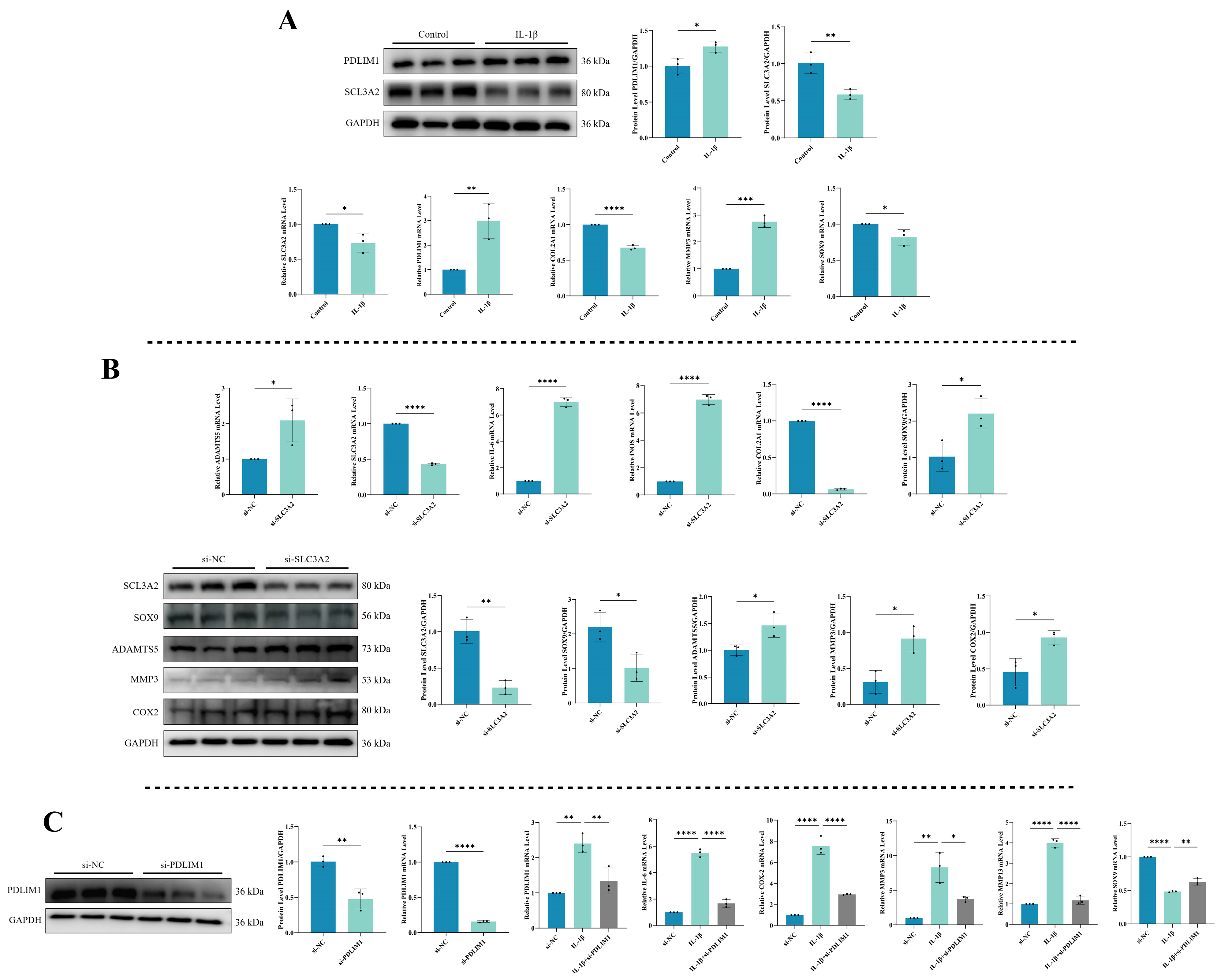 Biomedicines 12 01840 g009