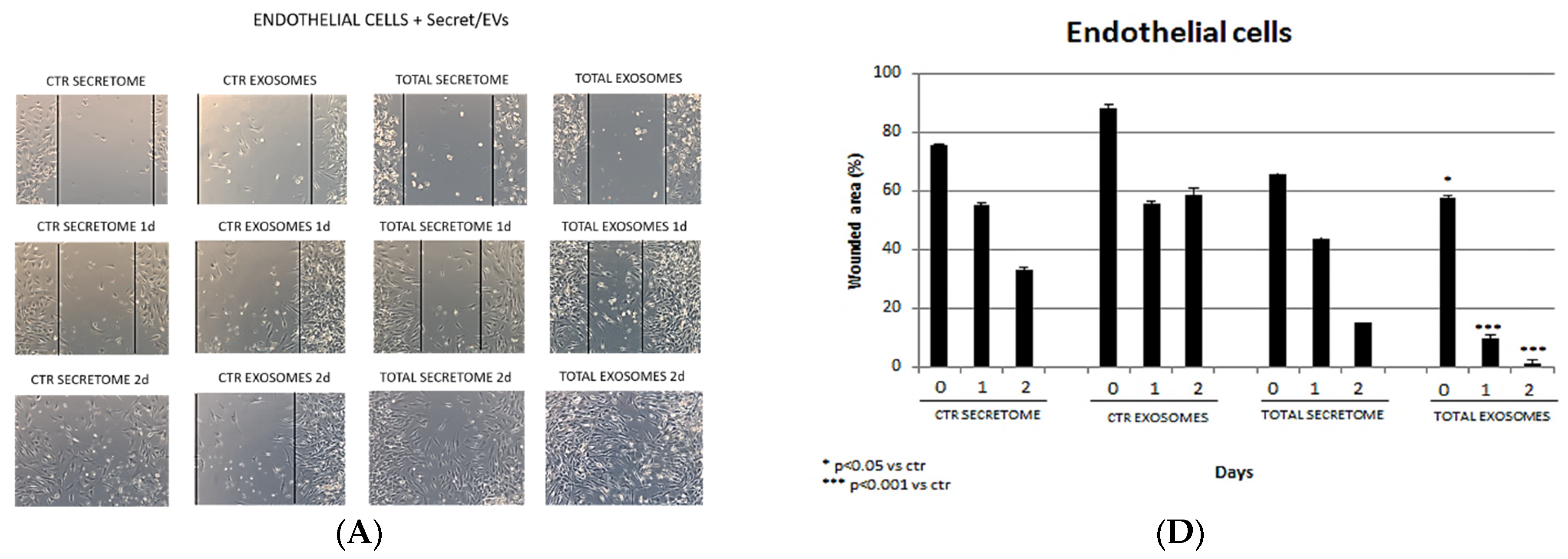 Biomedicines 12 01842 g004a Biomedicines 12 01842 g004a