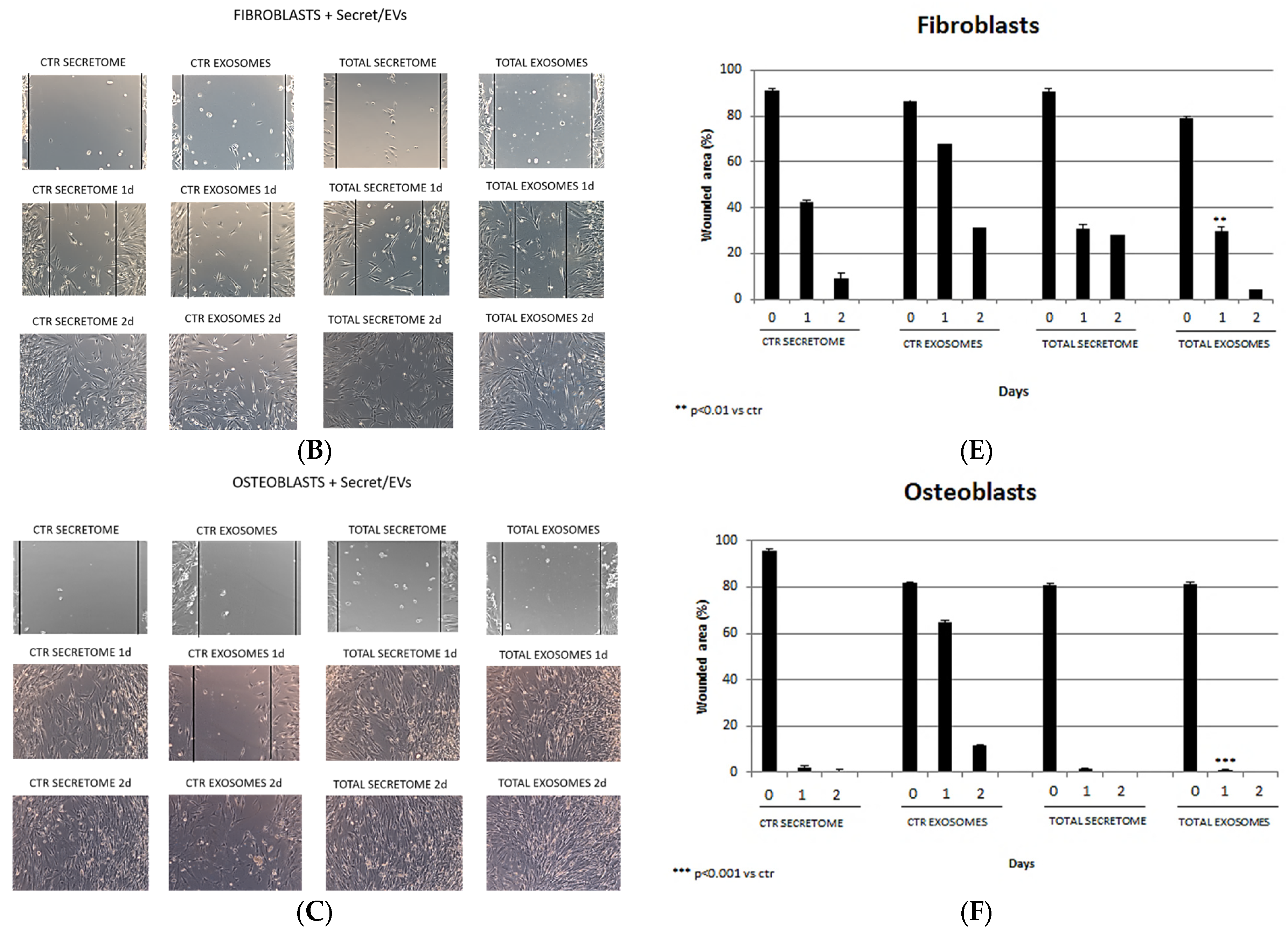 Biomedicines 12 01842 g004b Biomedicines 12 01842 g004b