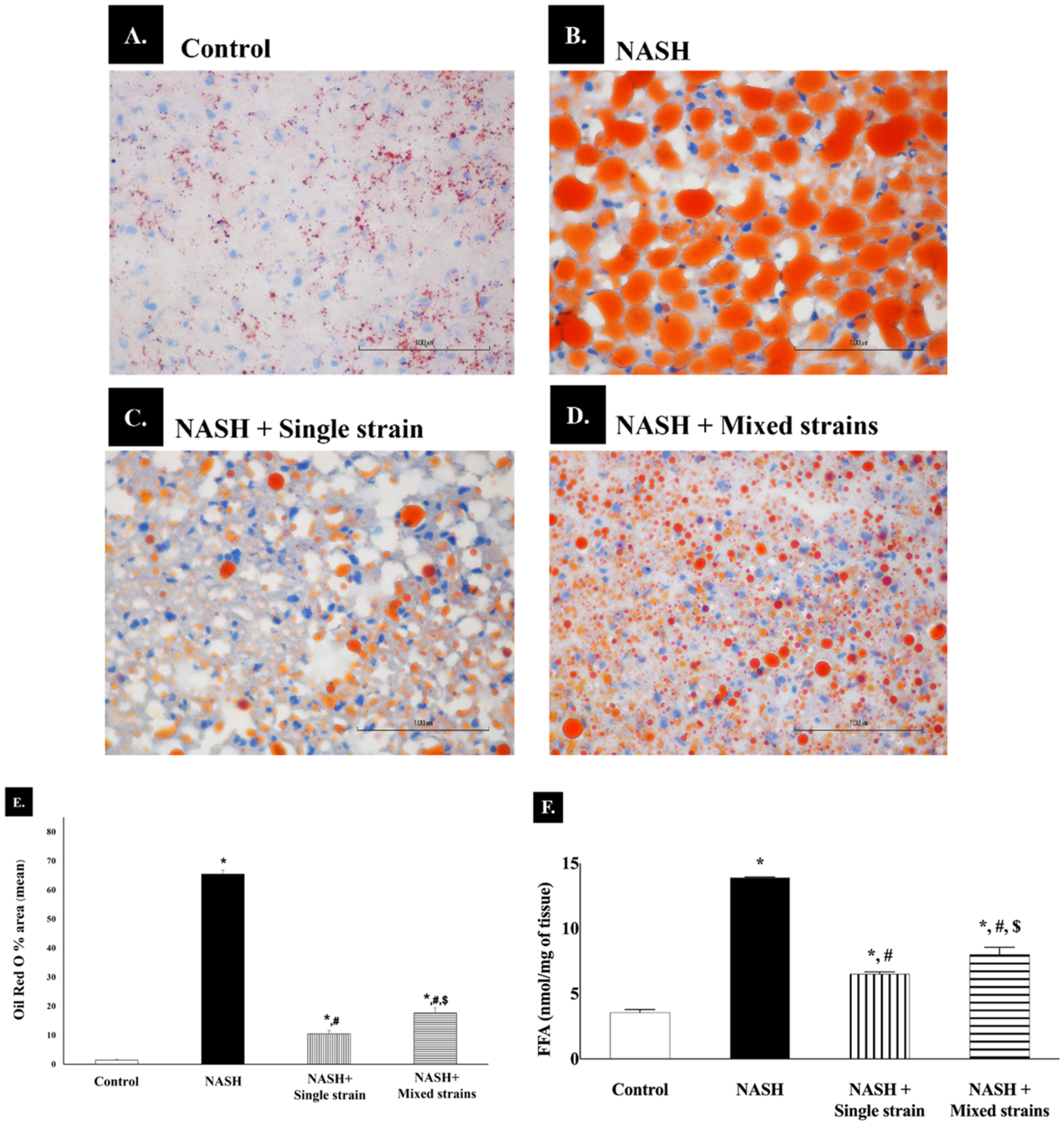 Biomedicines 12 01847 g002