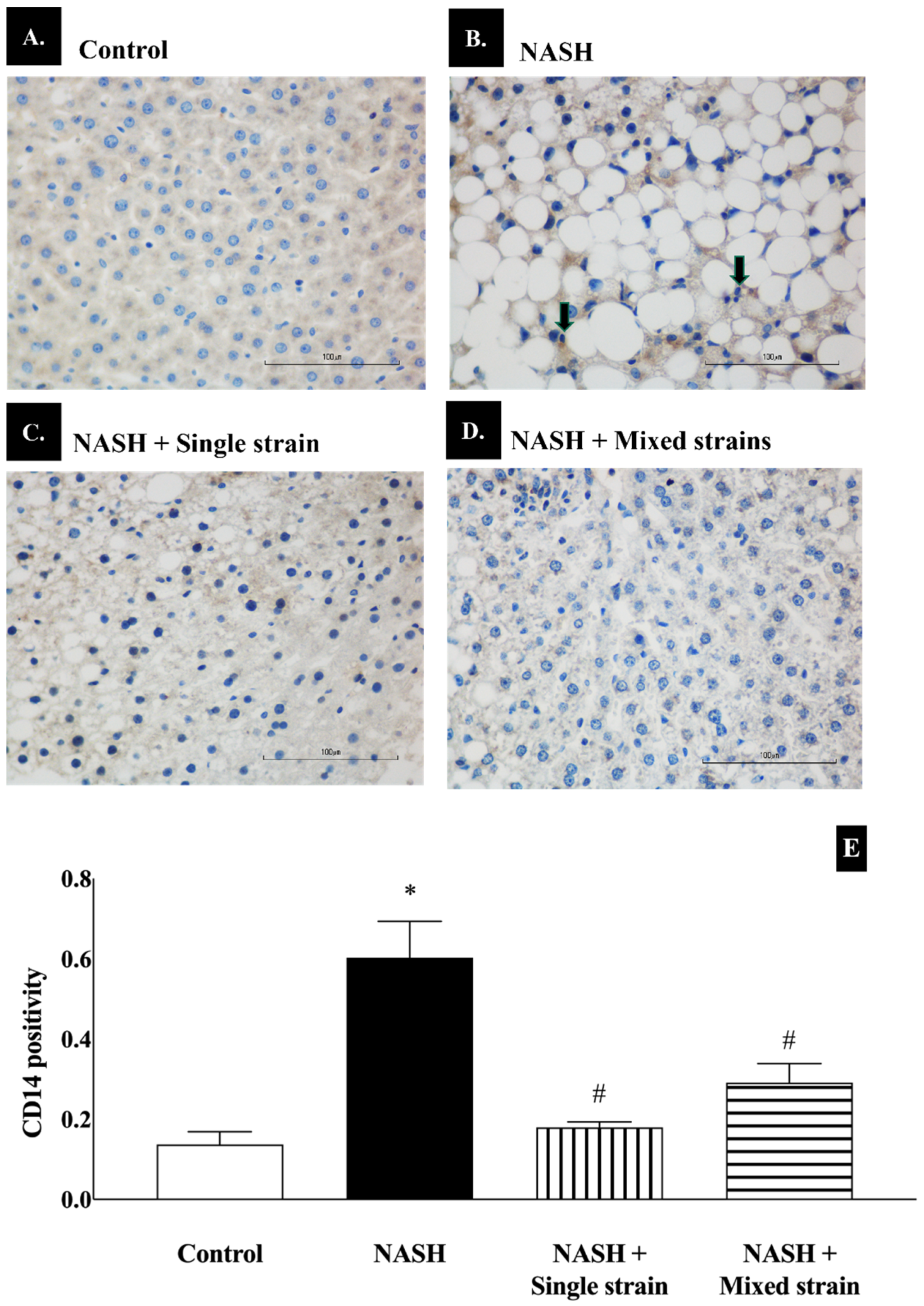 Biomedicines 12 01847 g004