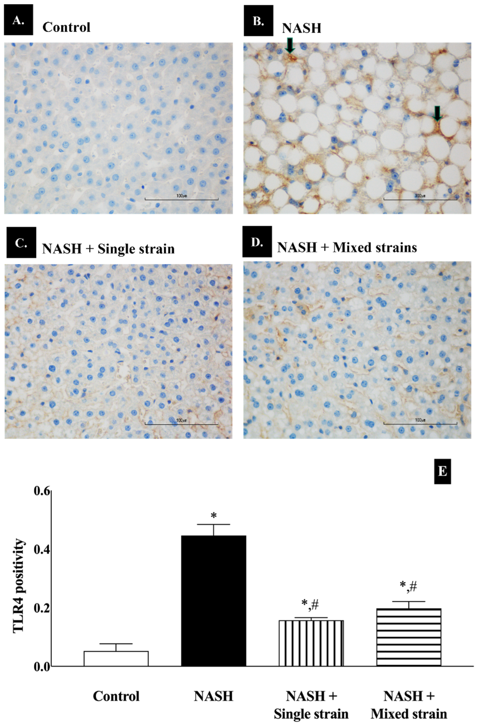 Biomedicines 12 01847 g005