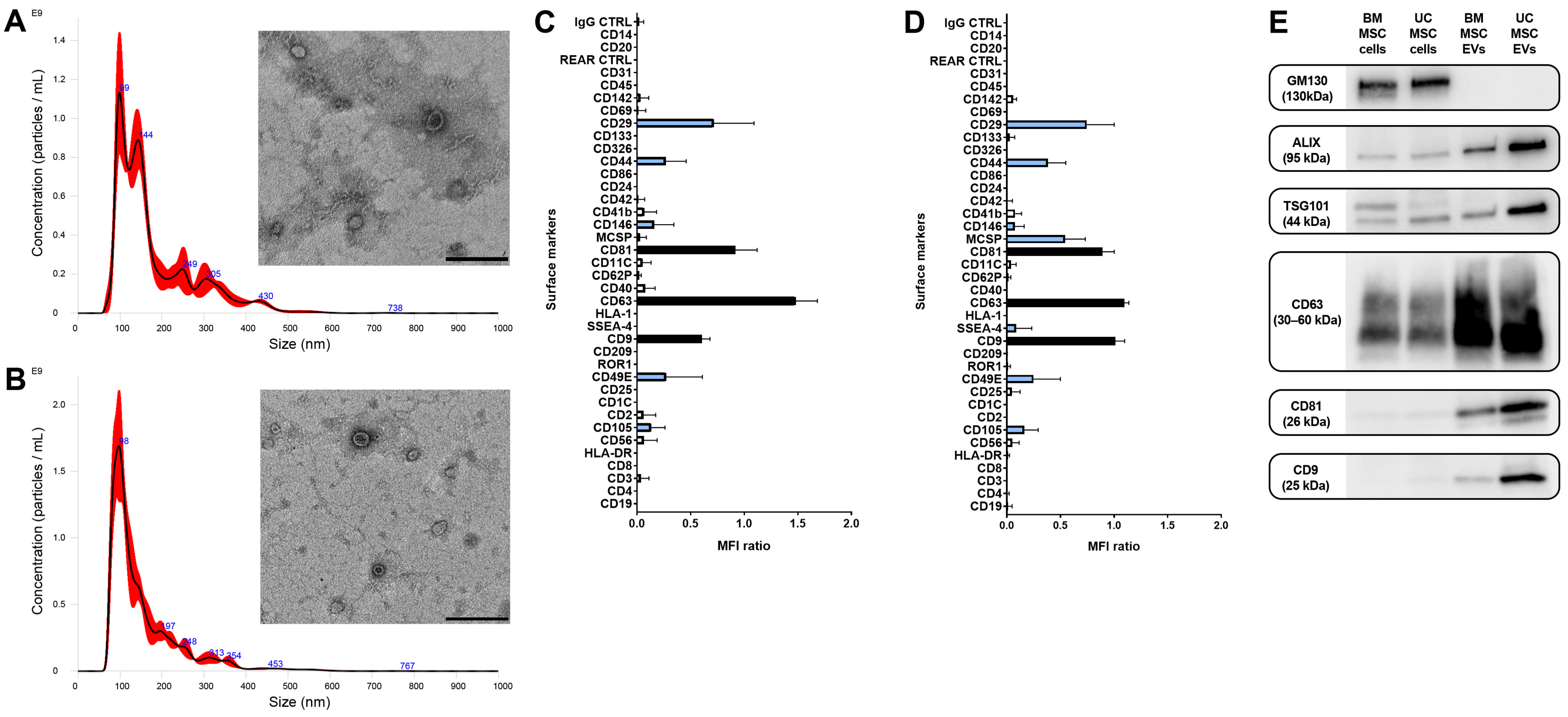 Biomedicines 12 01849 g003