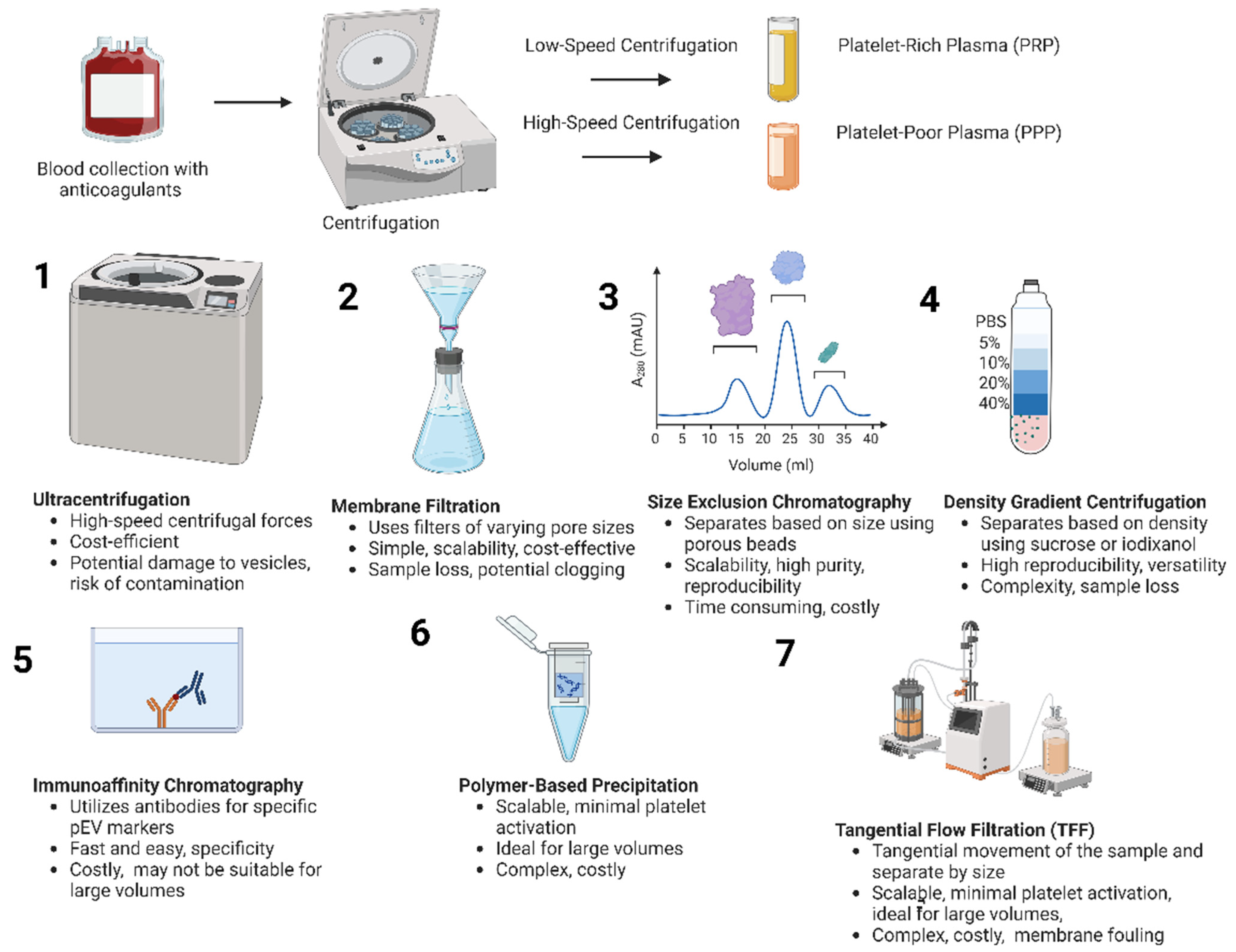 Biomedicines 12 01850 g002