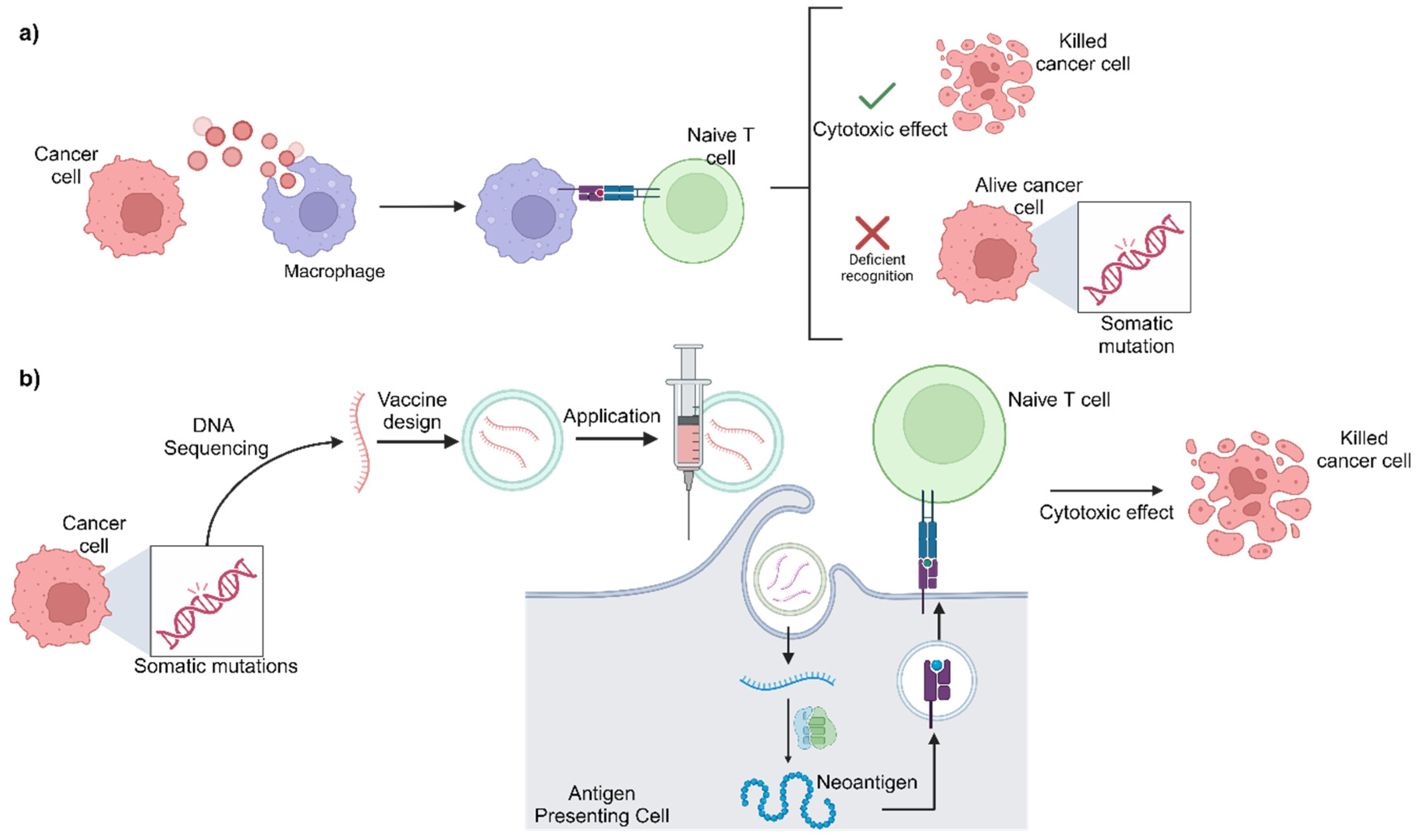 ルル Advances in Melanoma: From Genetic Insights to Therapeutic