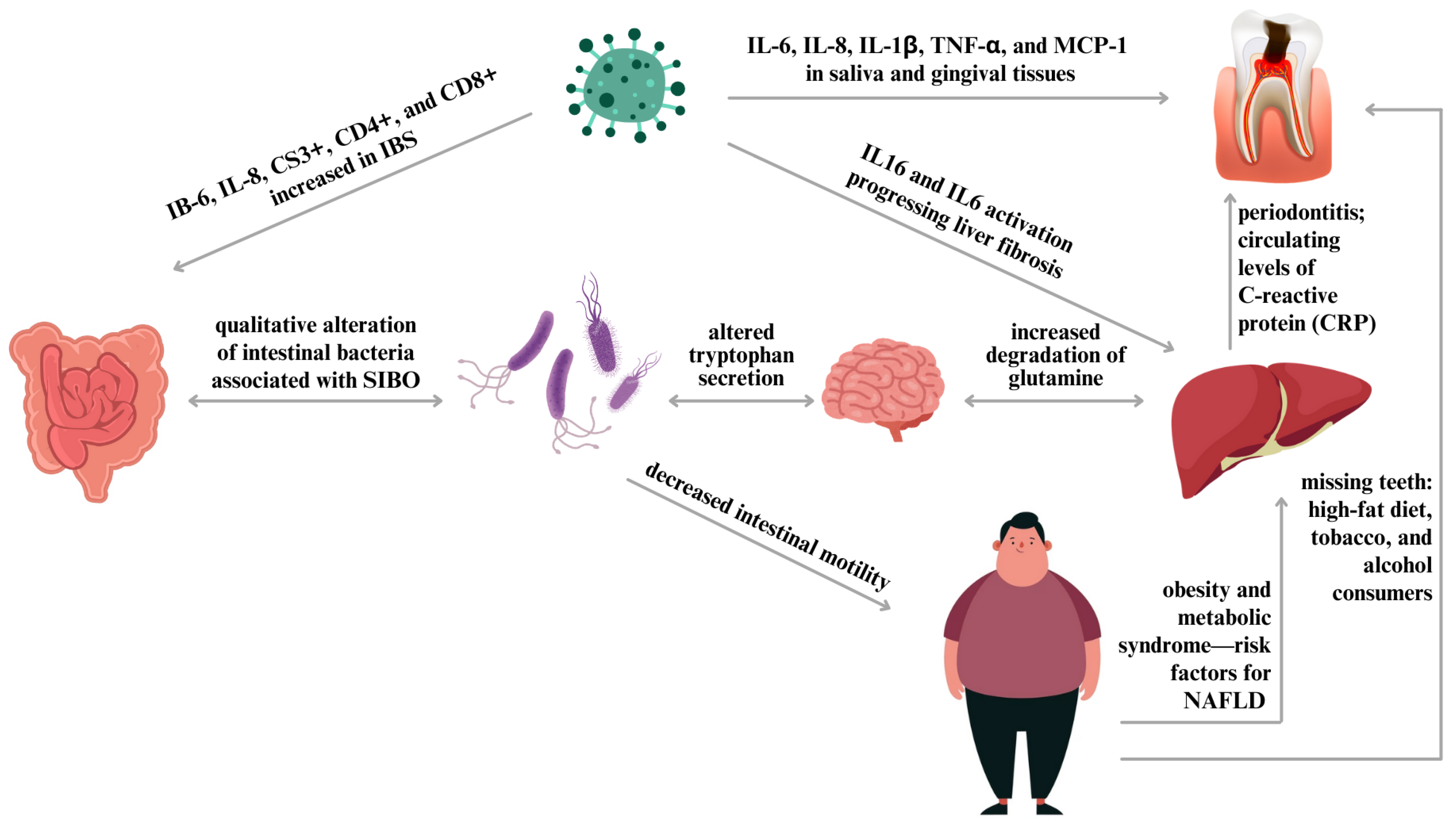 Biomedicines 12 01854 g002