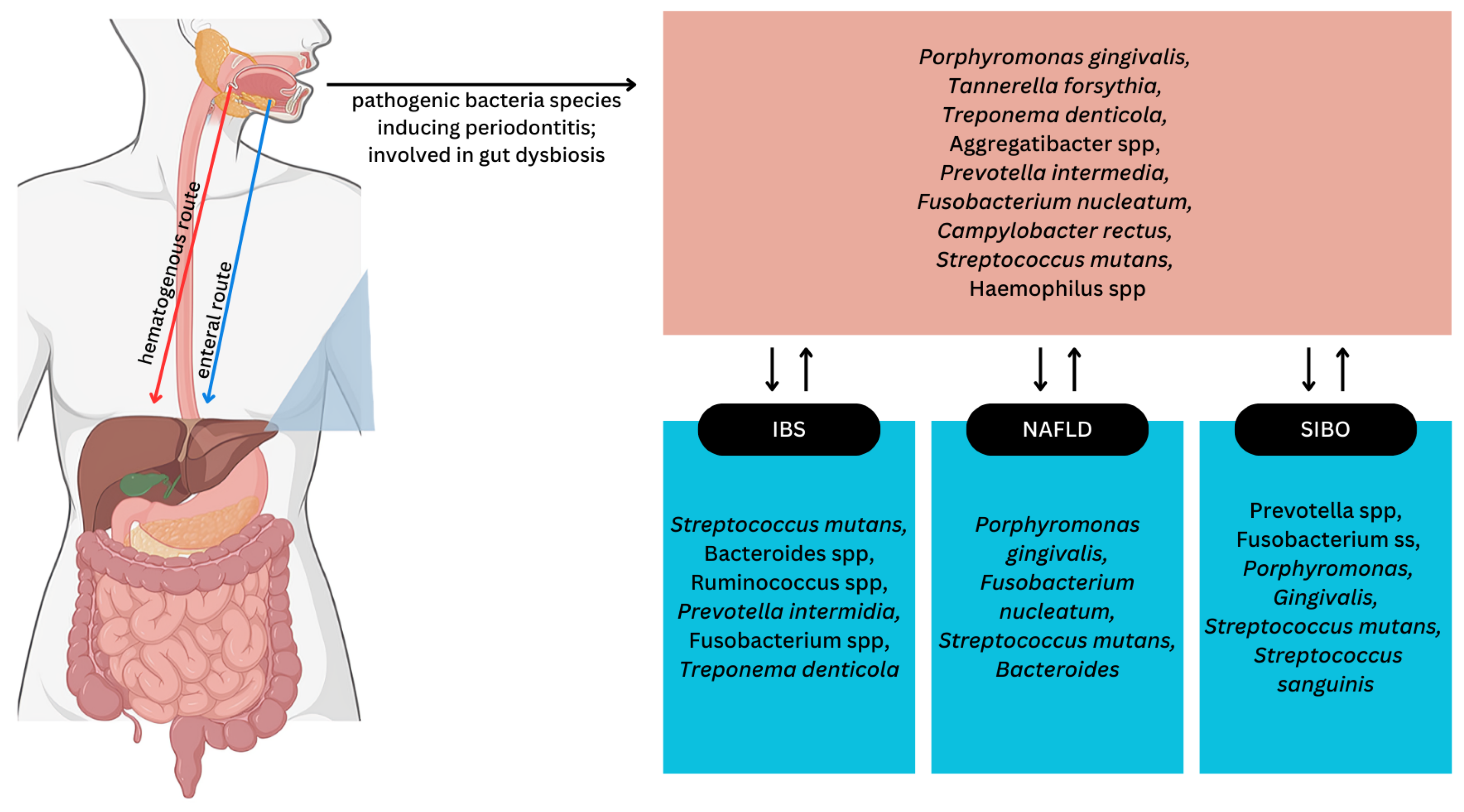 Biomedicines 12 01854 g003