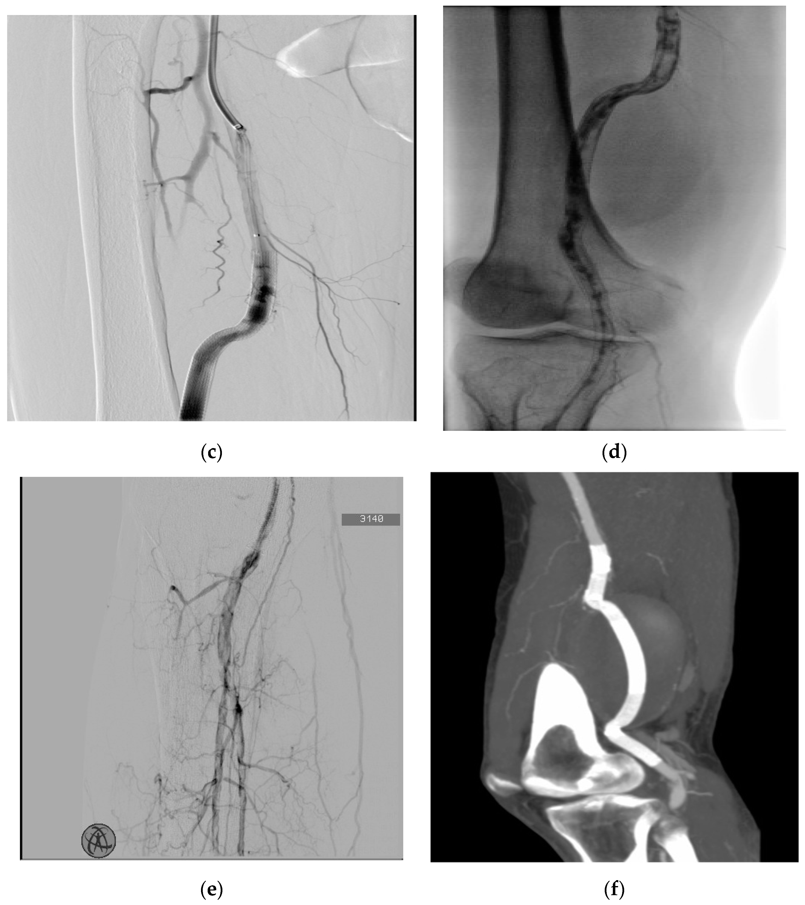 Biomedicines 12 01855 g001b