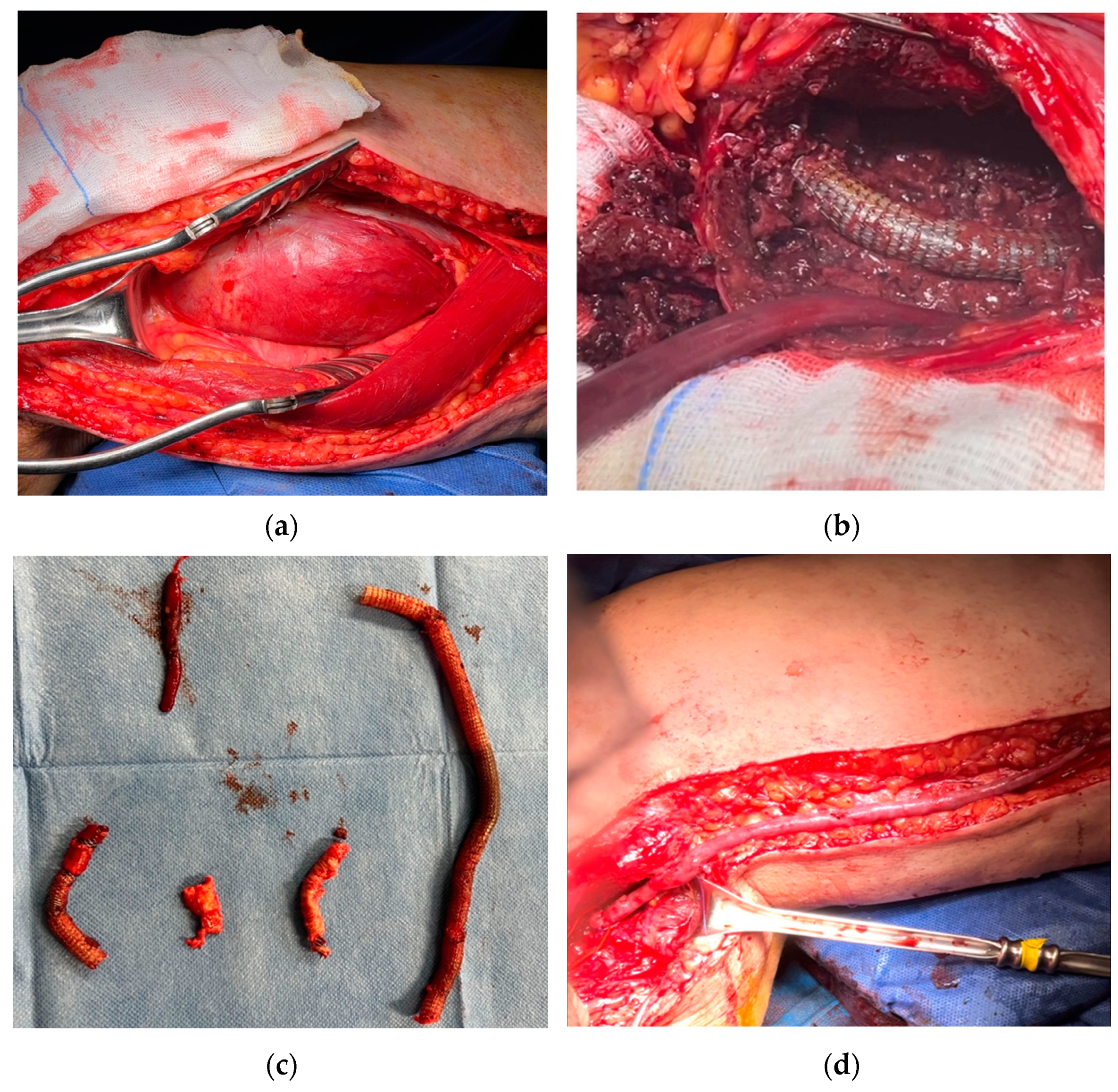 Biomedicines 12 01855 g002