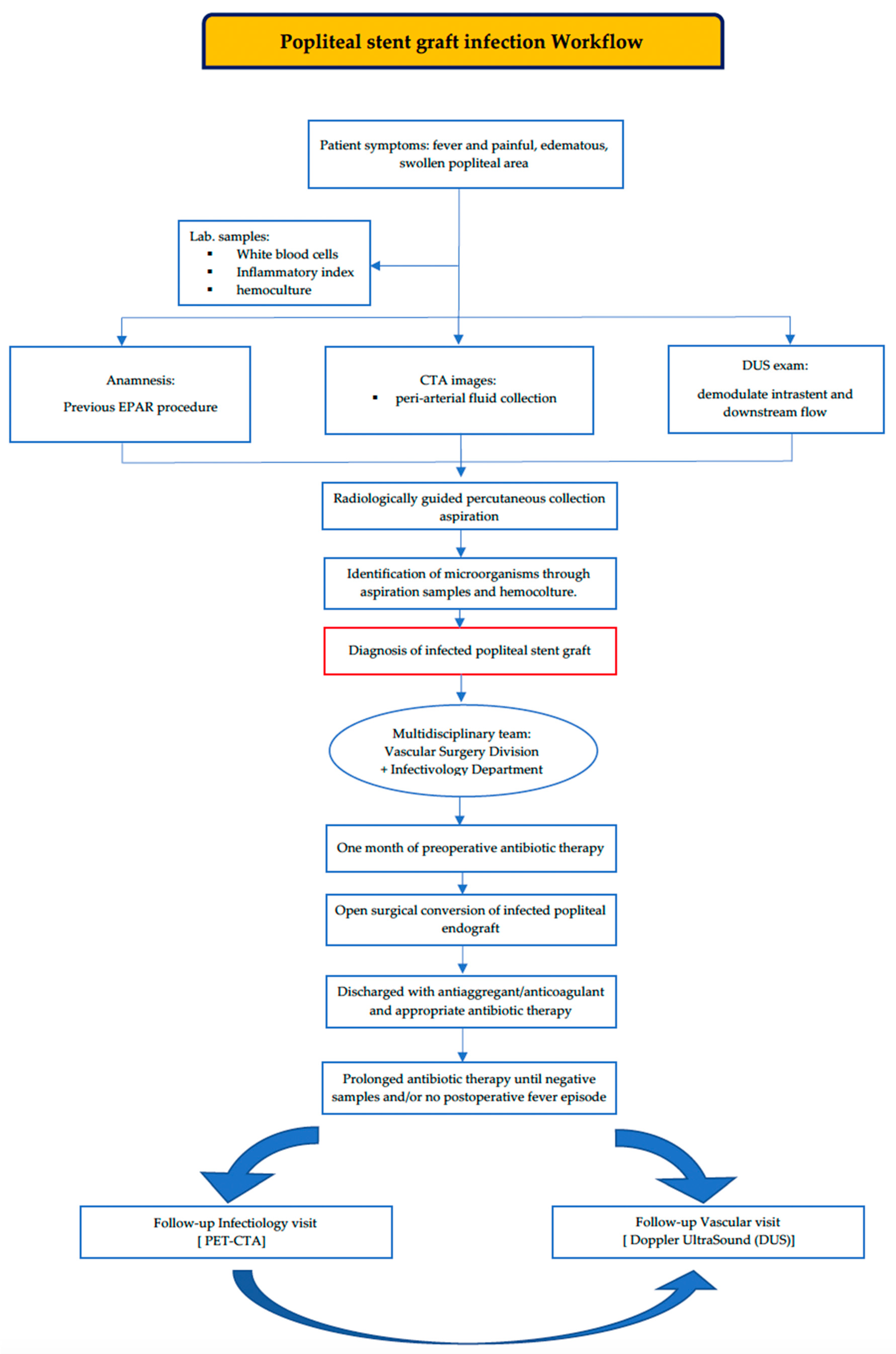 Biomedicines 12 01855 g005