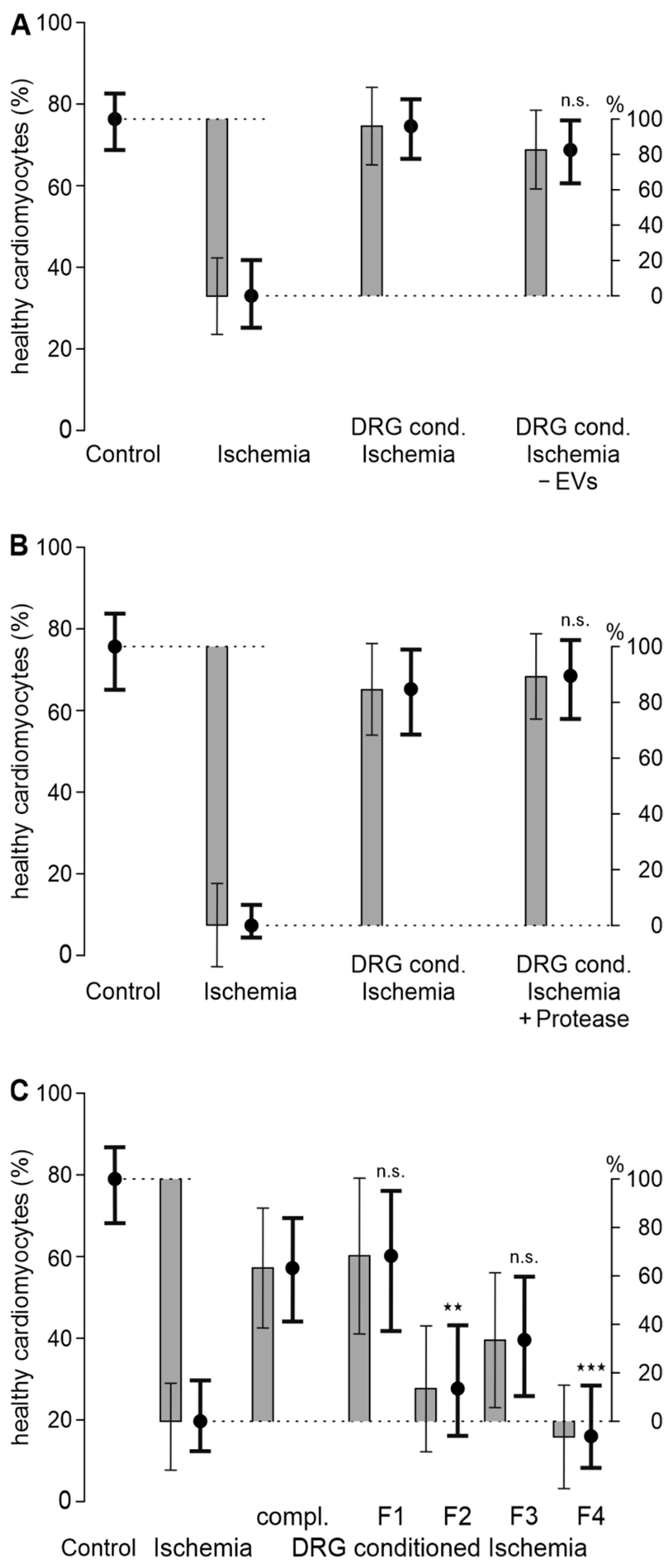 Biomedicines 12 01856 g002